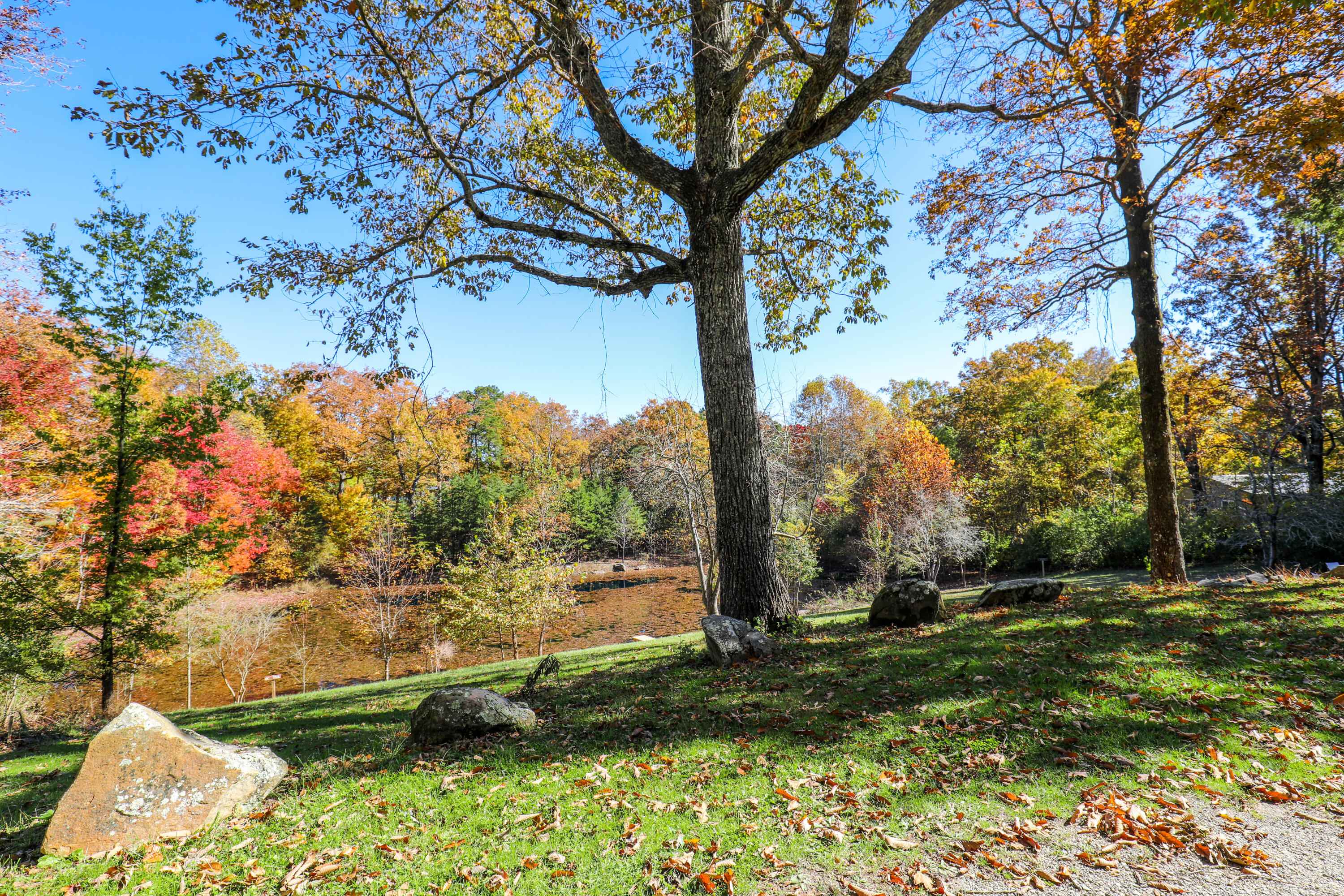 226 Hickory Ln