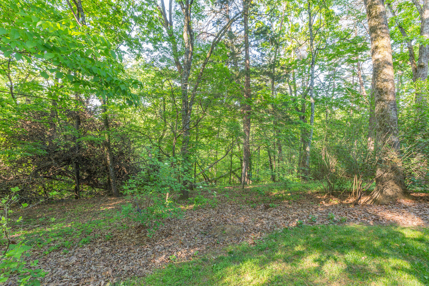 816 Fox Chase Lane