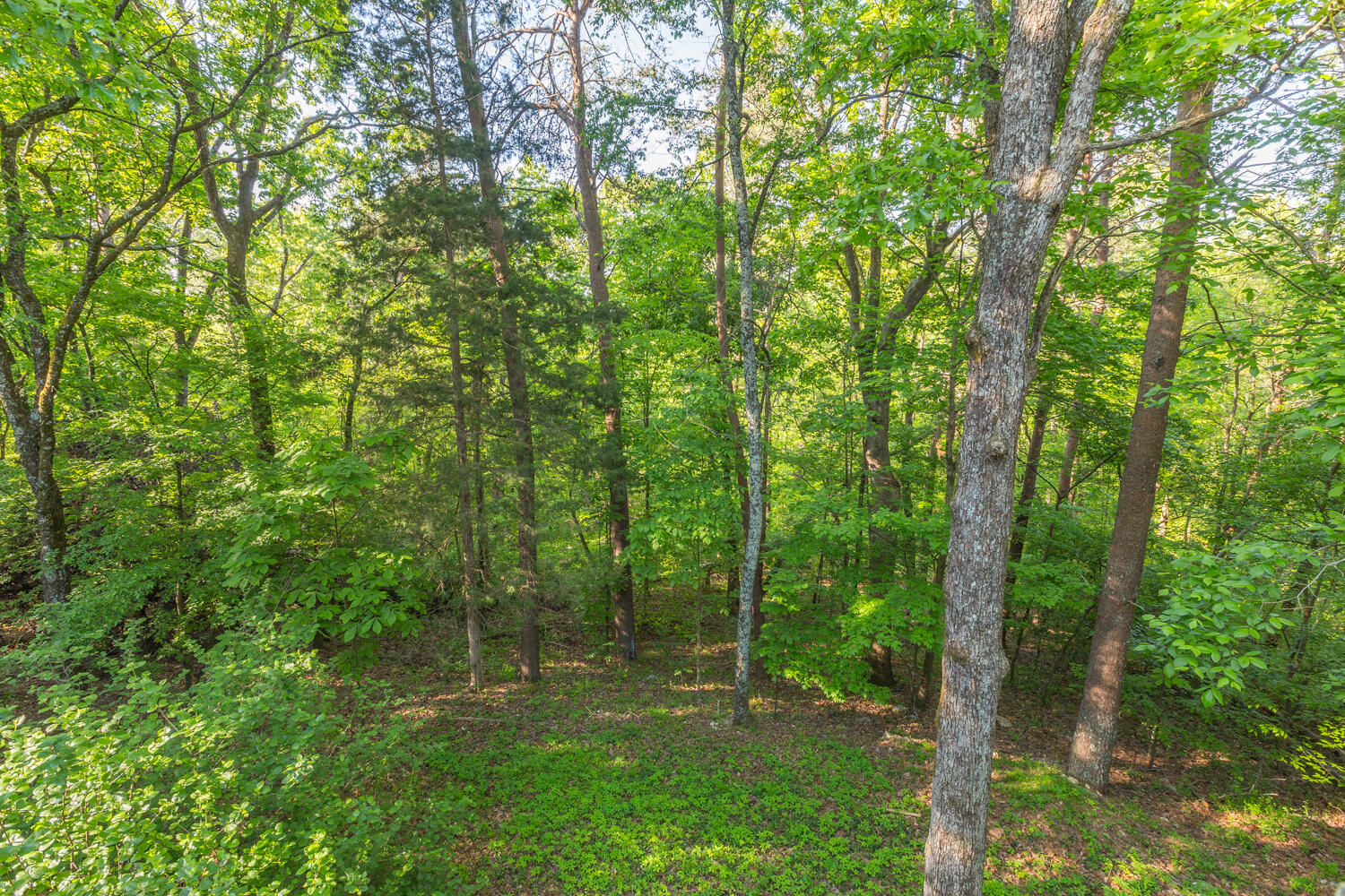 816 Fox Chase Lane