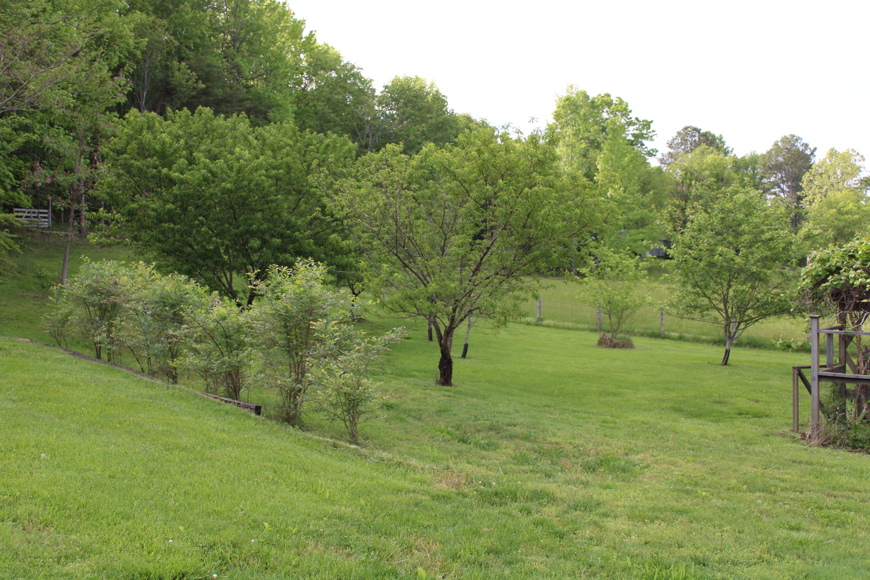 1233 Hotwater Road