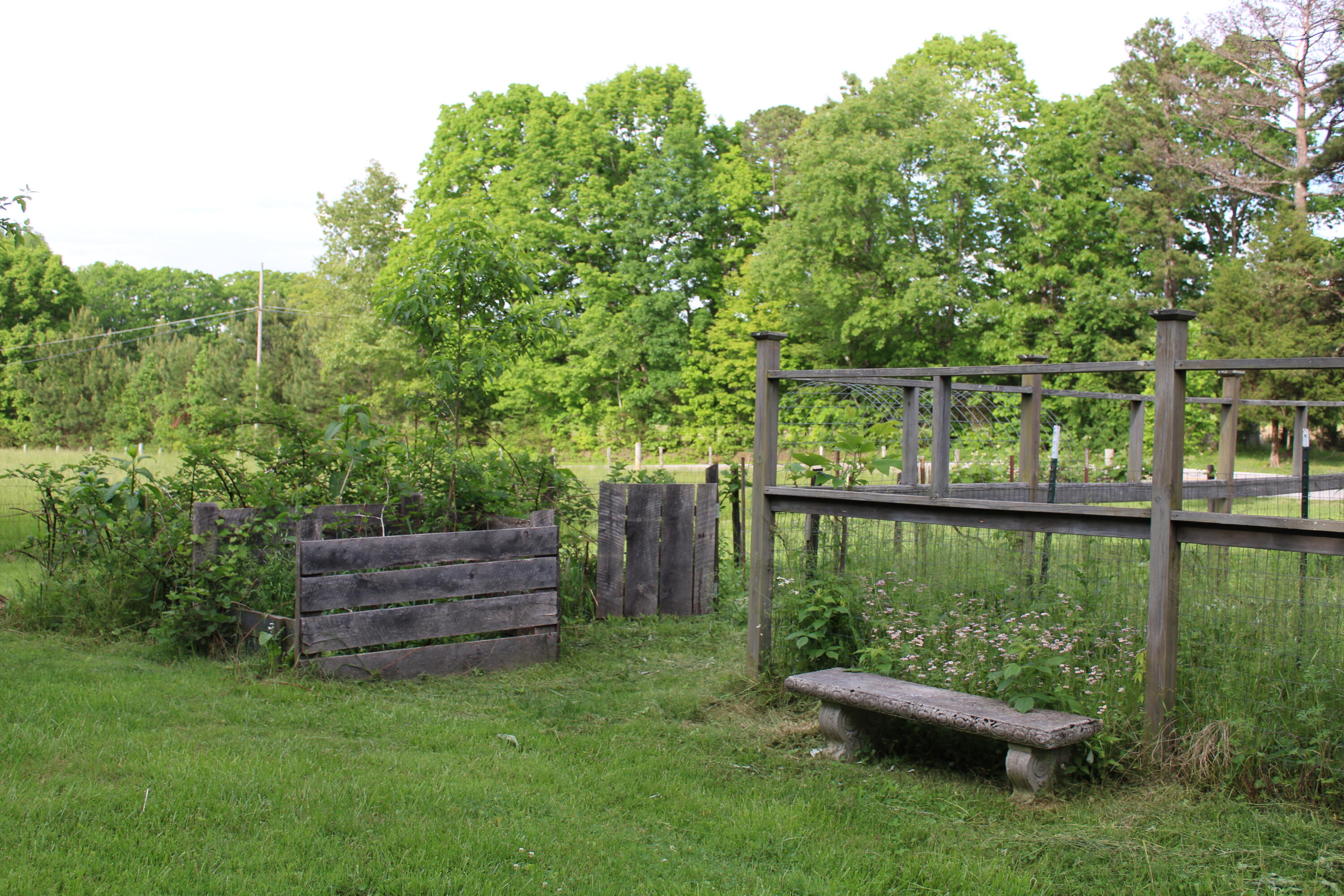 1233 Hotwater Road