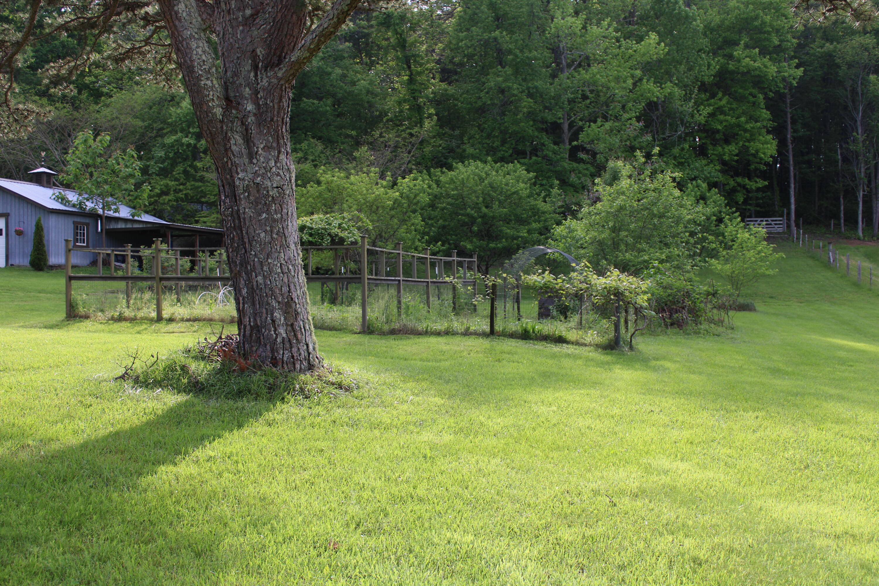 1233 Hotwater Road