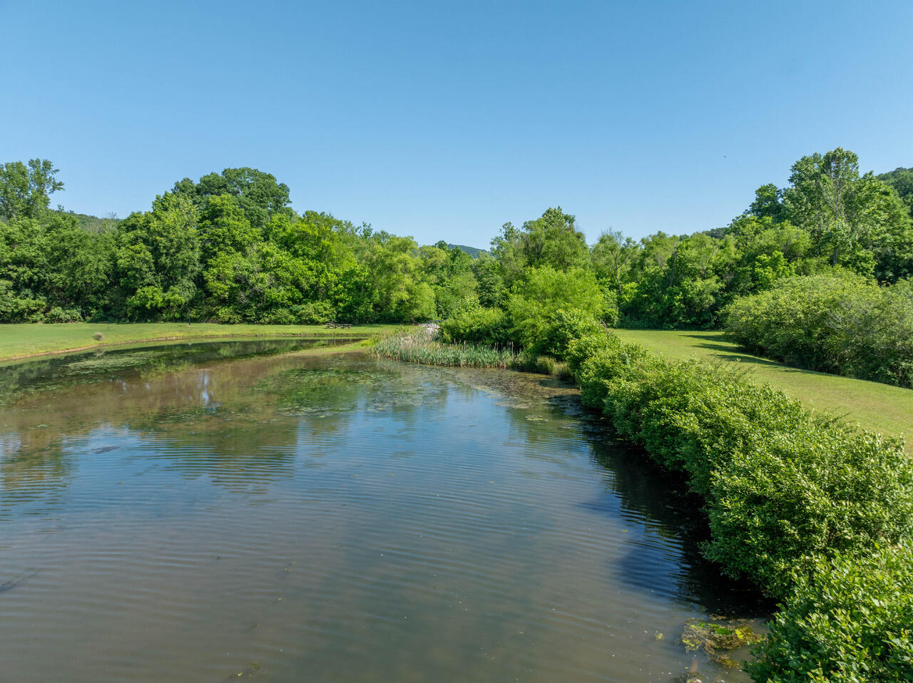 64 Canoe Cove