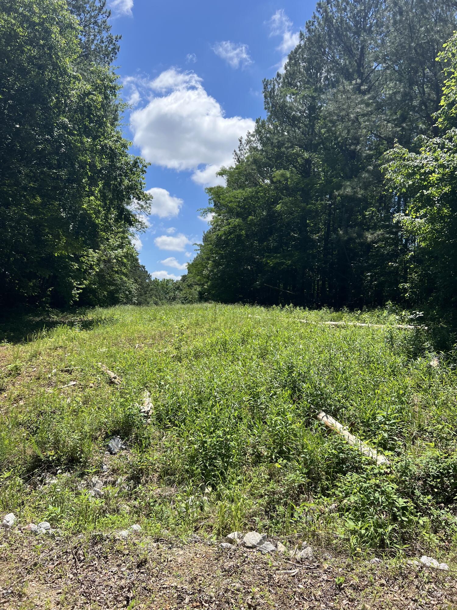 Lot 1 Greenwood Road
