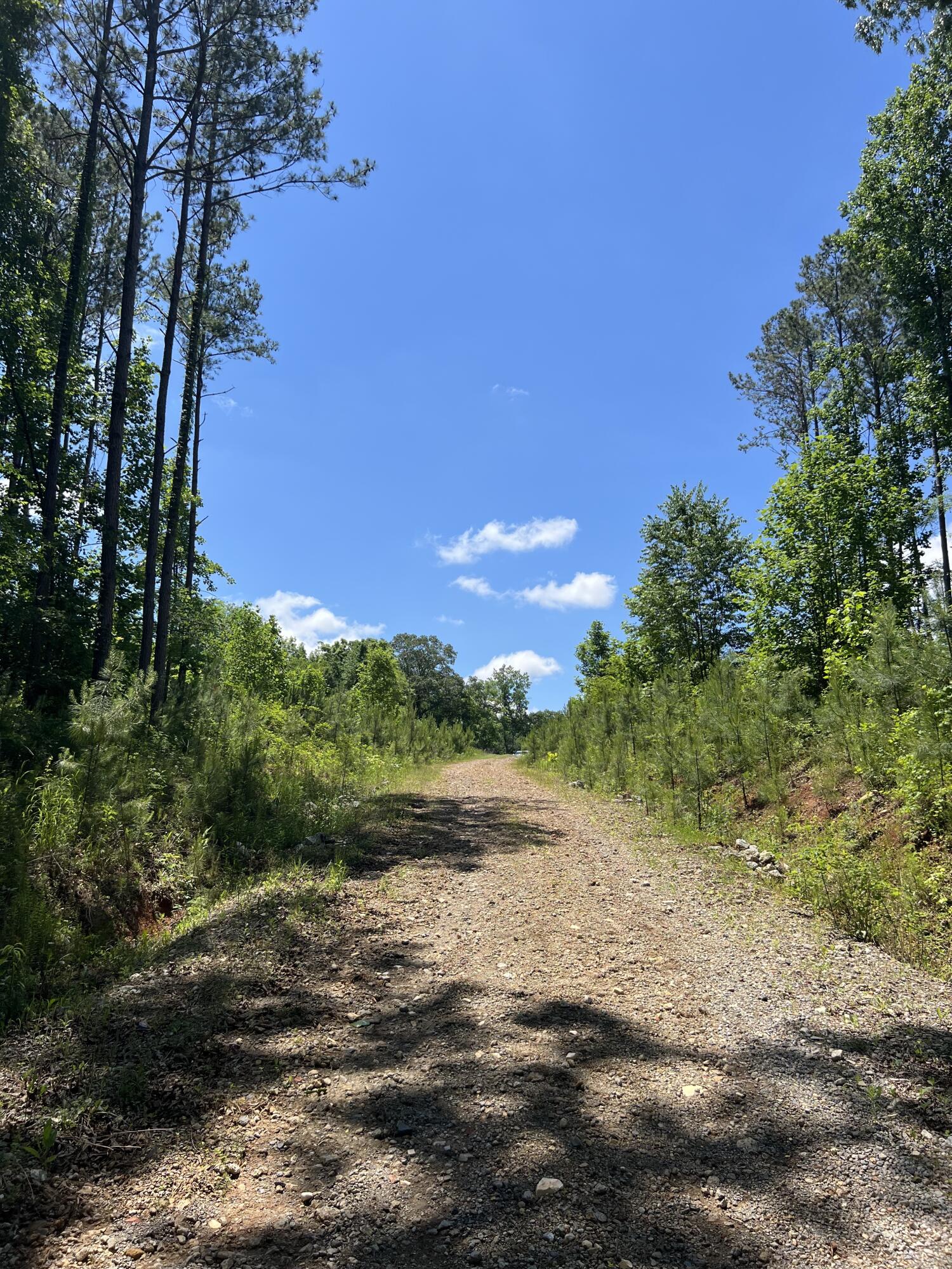 Lot 1 Greenwood Road