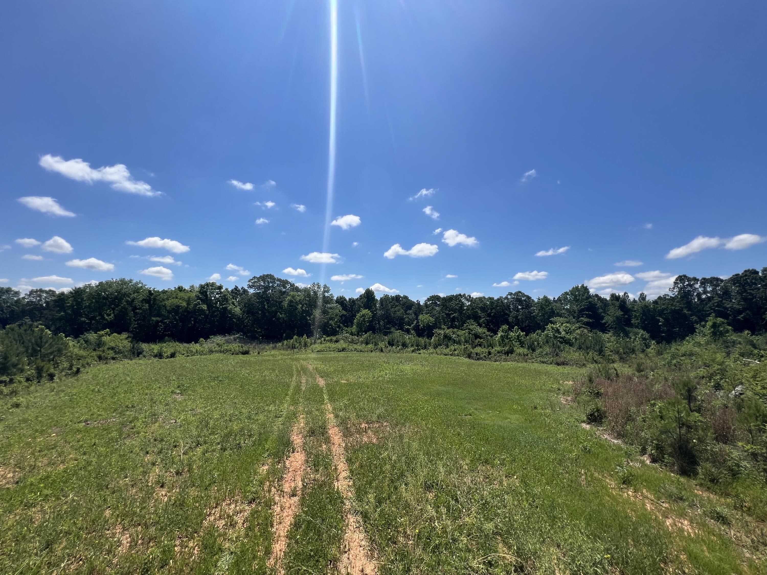 Lot 1 Greenwood Road