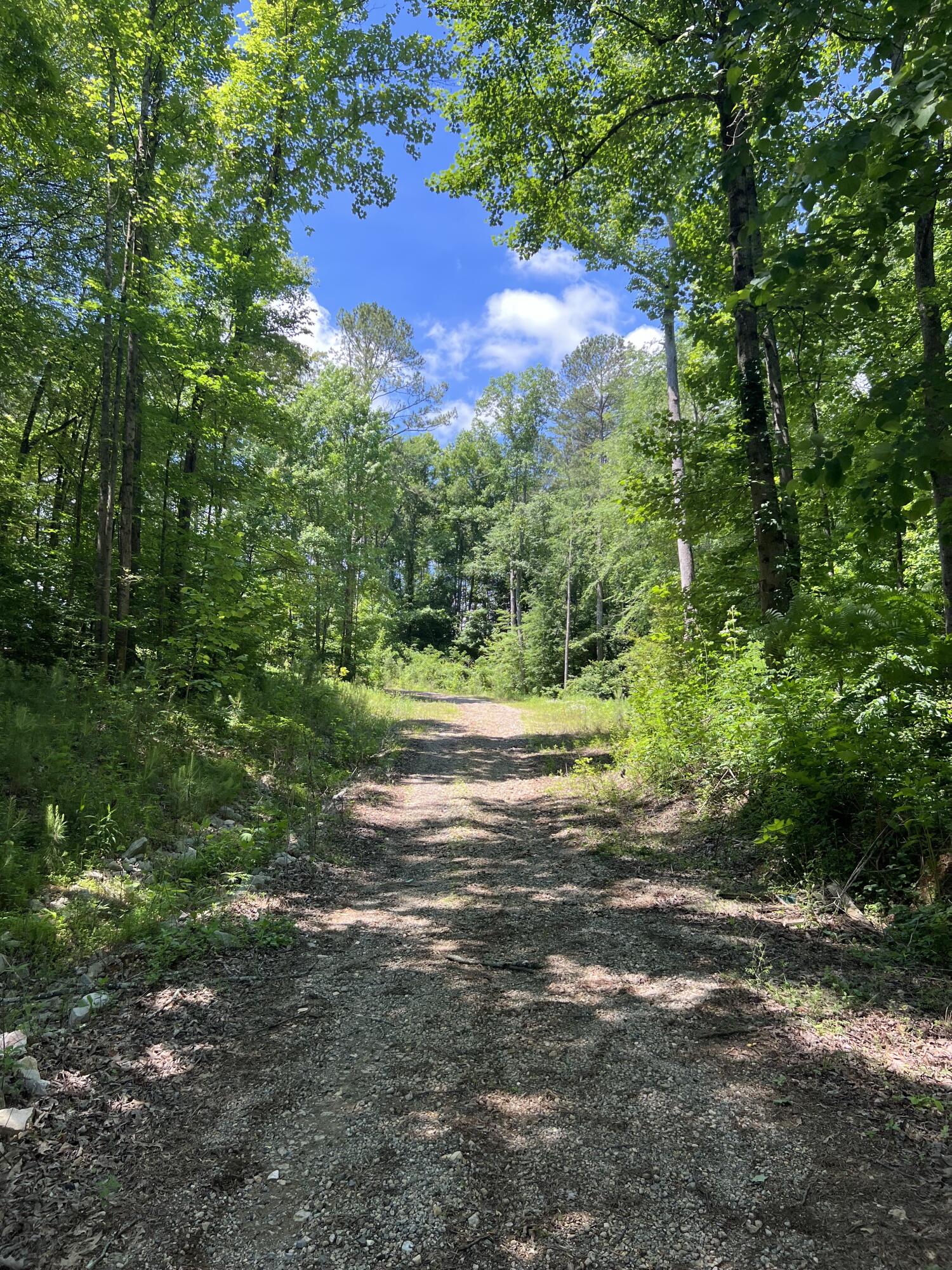 Lot 1 Greenwood Road