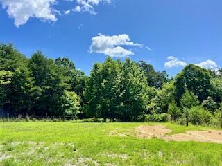 663 Lone Mountain Drive