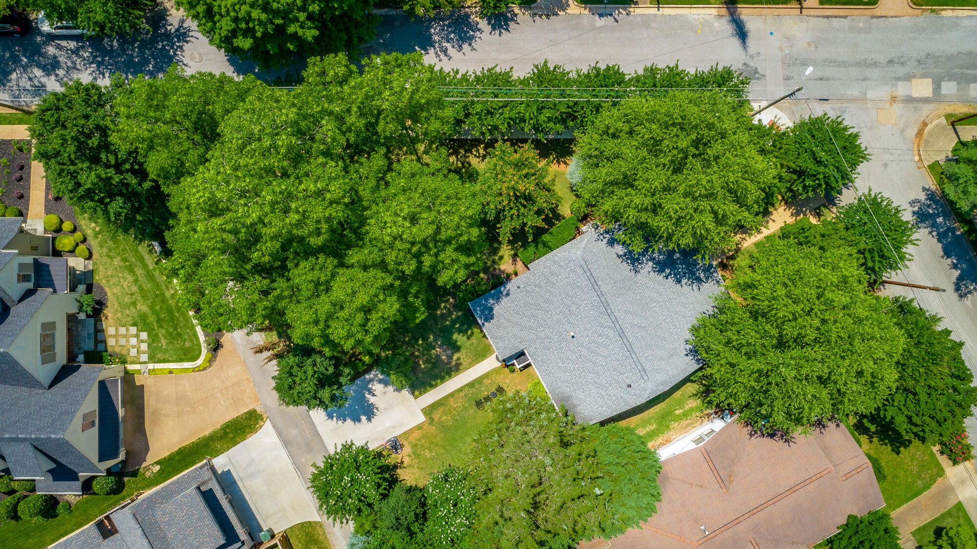 500 Young Ave