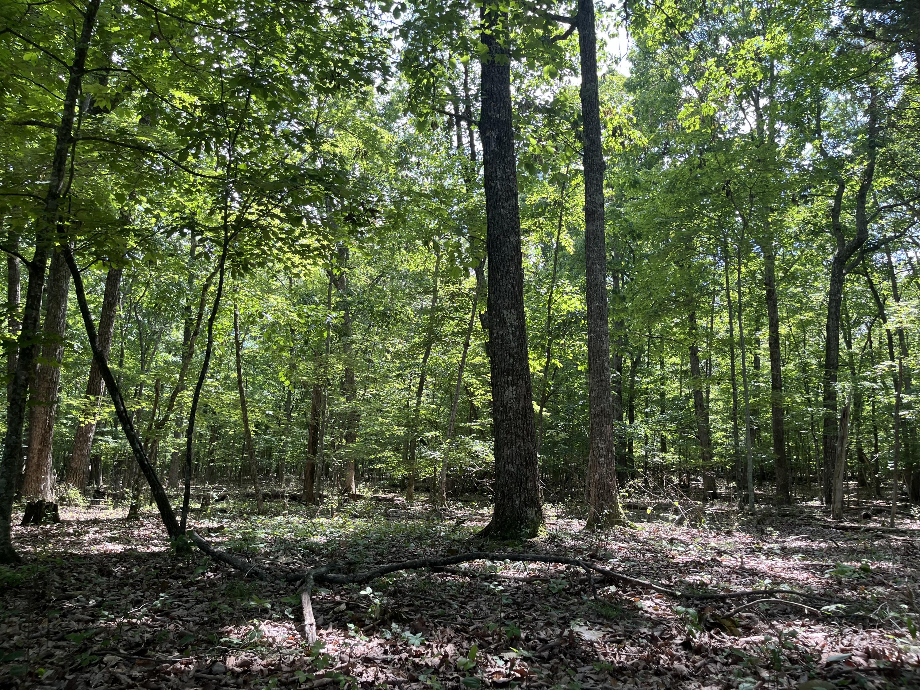 00 Jackson Point Road, 16