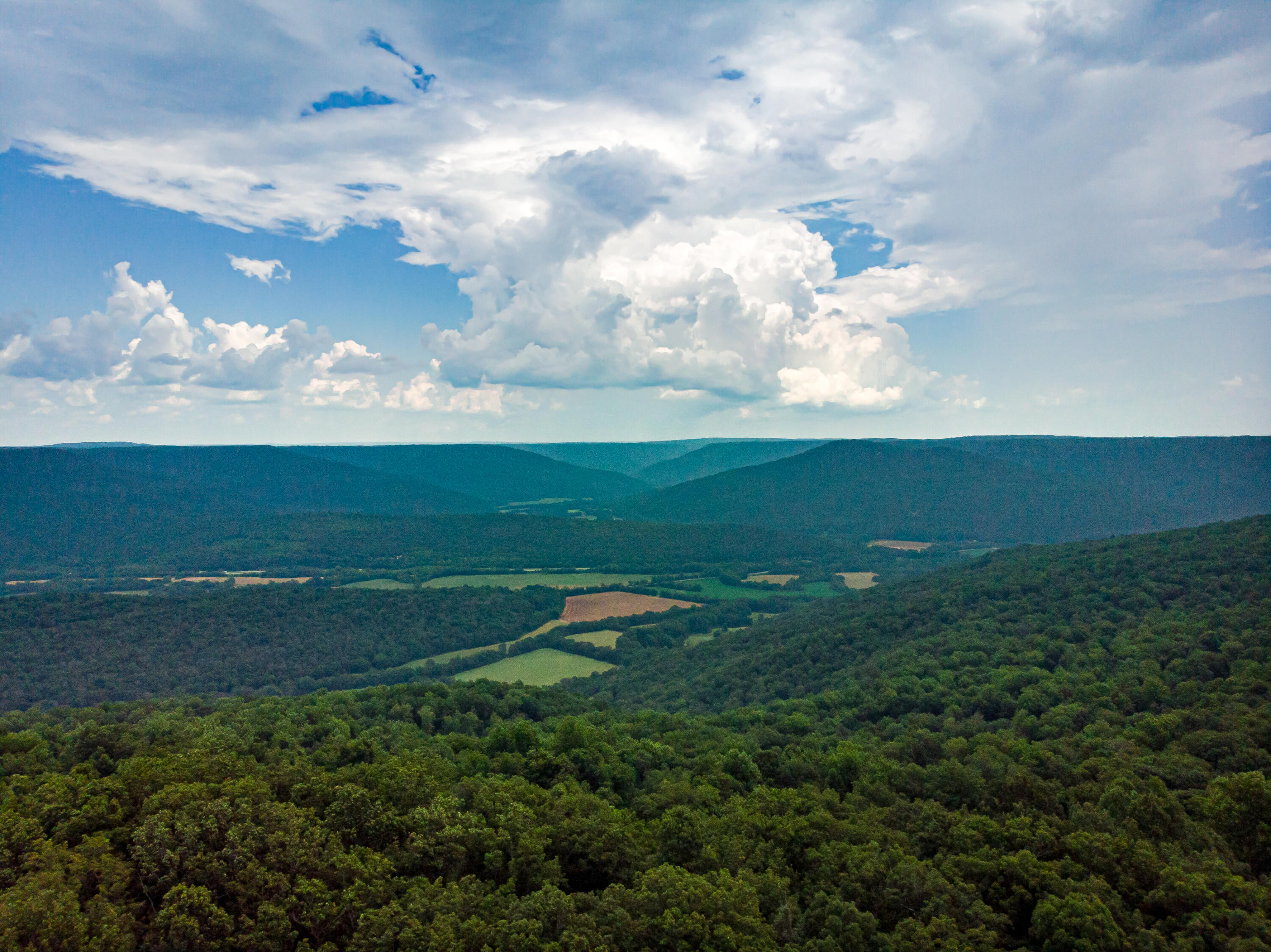 00 Jackson Point Road, 16