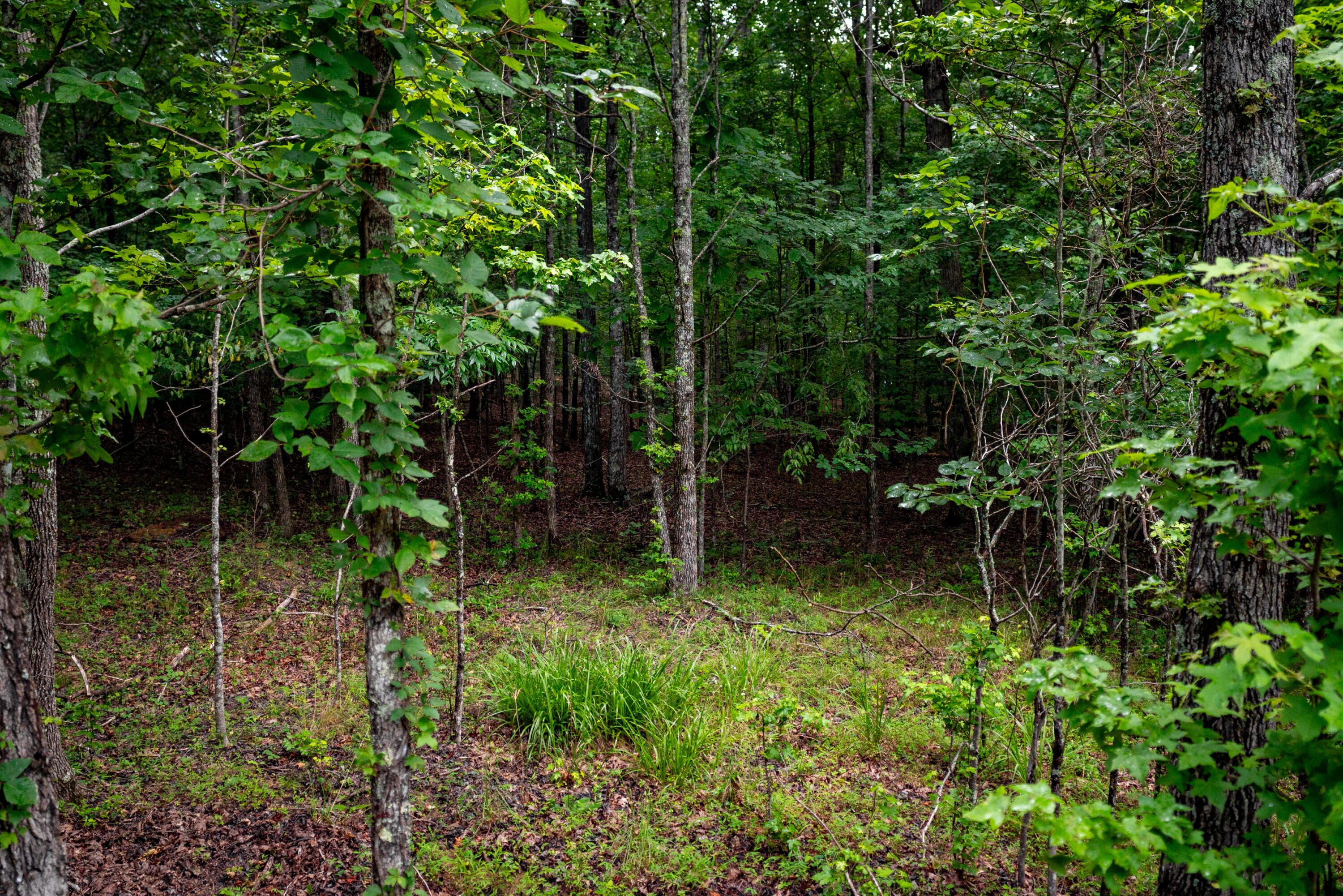 00 Jackson Point Road, 16