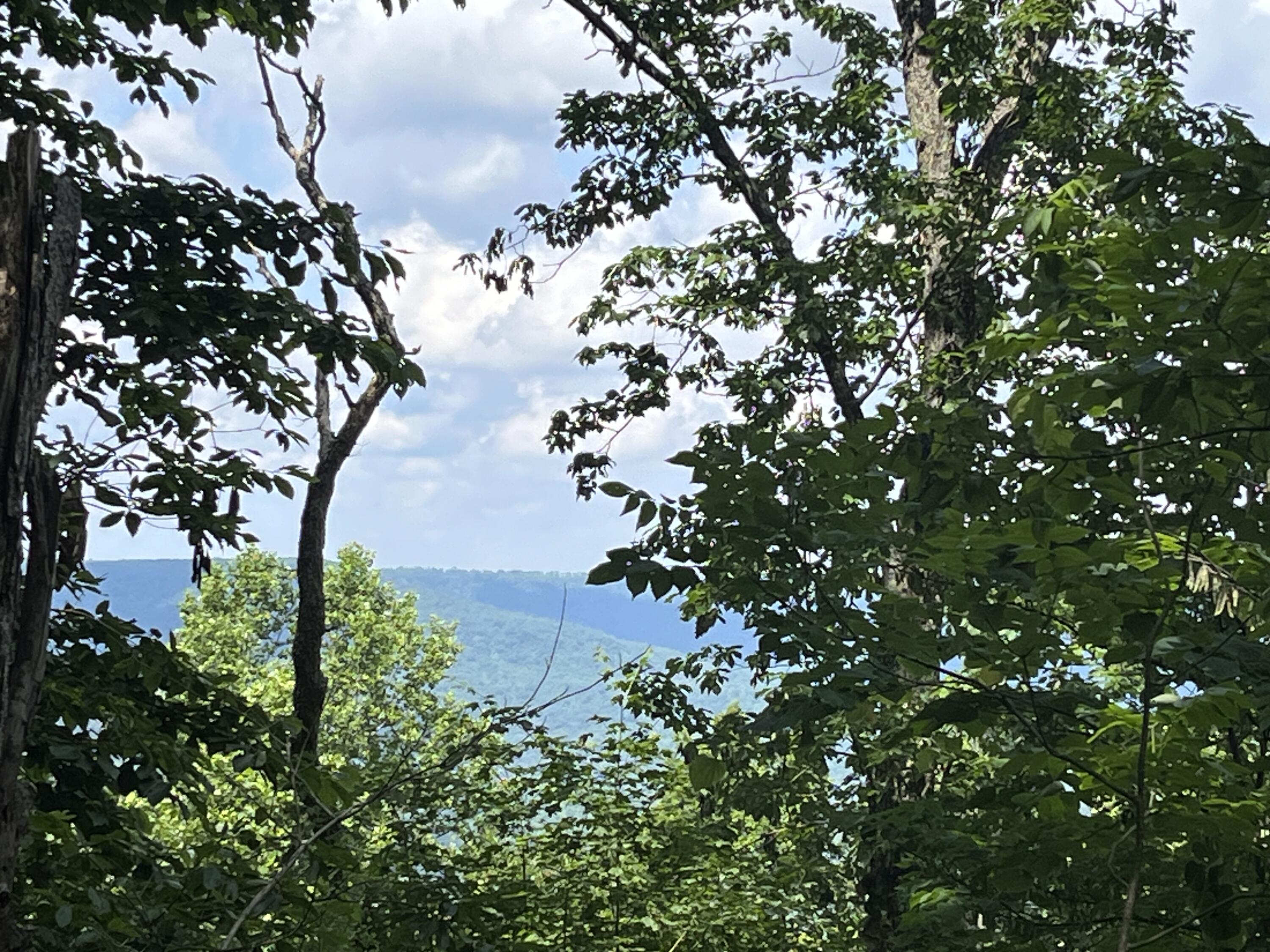 00 Jackson Point Road, 16