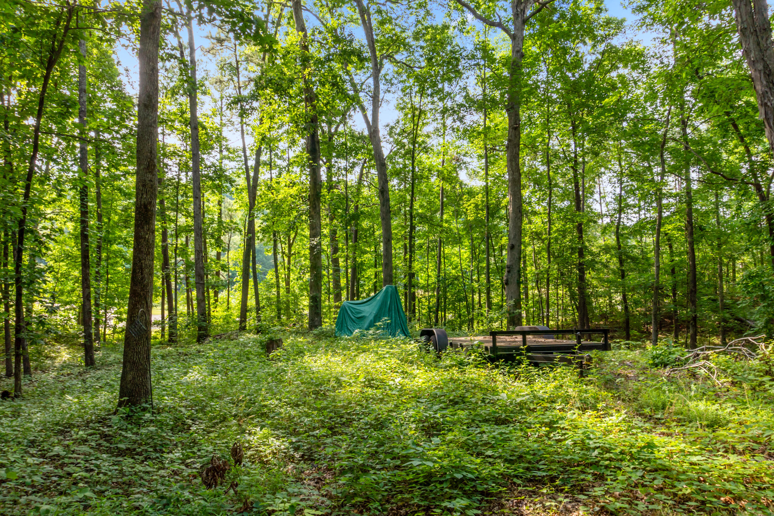 5136 Mcdonald Road