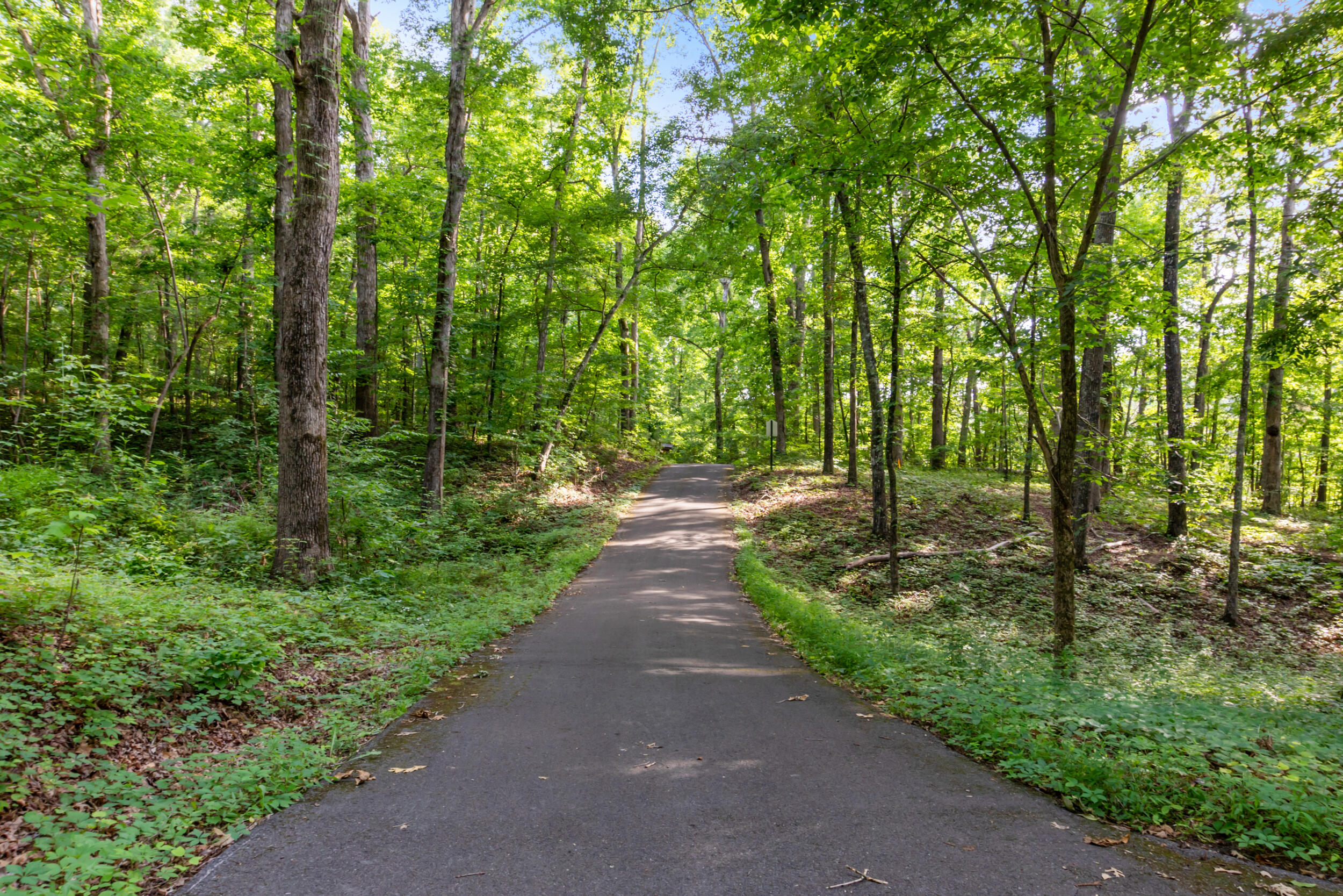 5136 Mcdonald Road