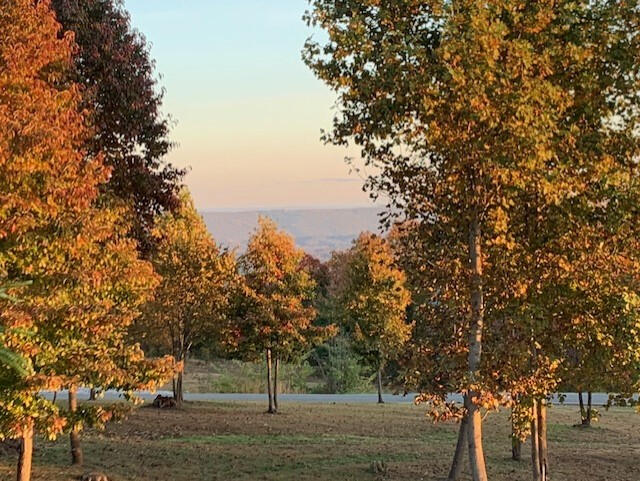 540 Sunset Circle