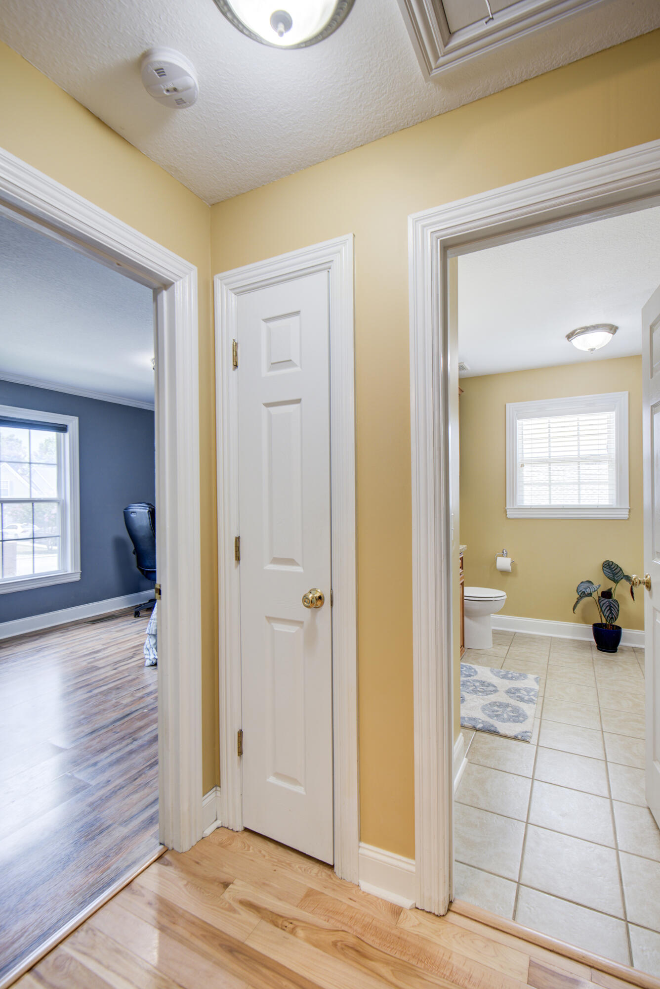 335 Blue Heron Drive