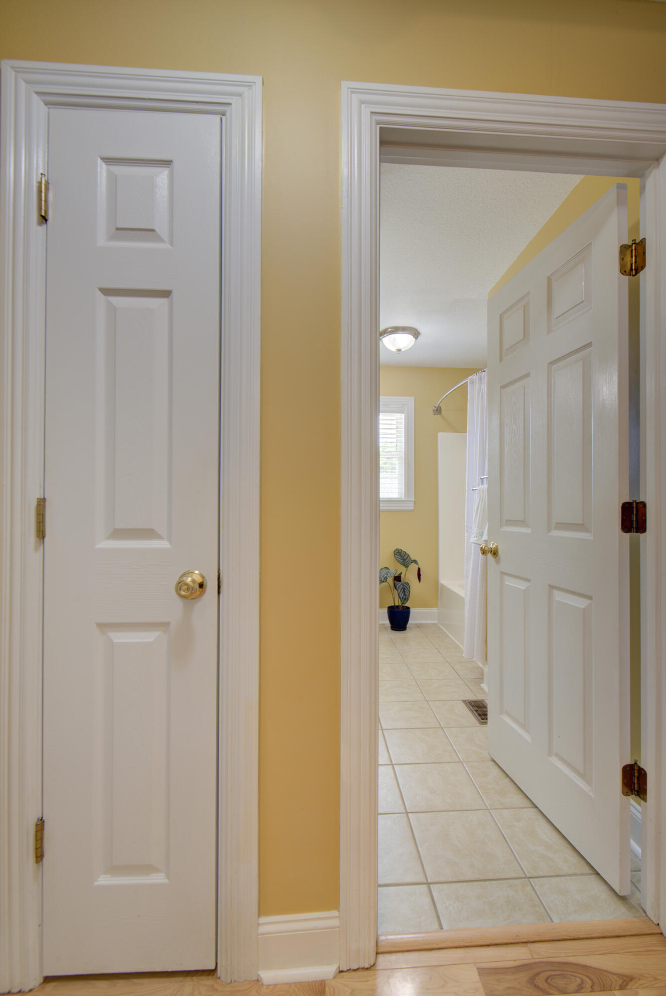 335 Blue Heron Drive