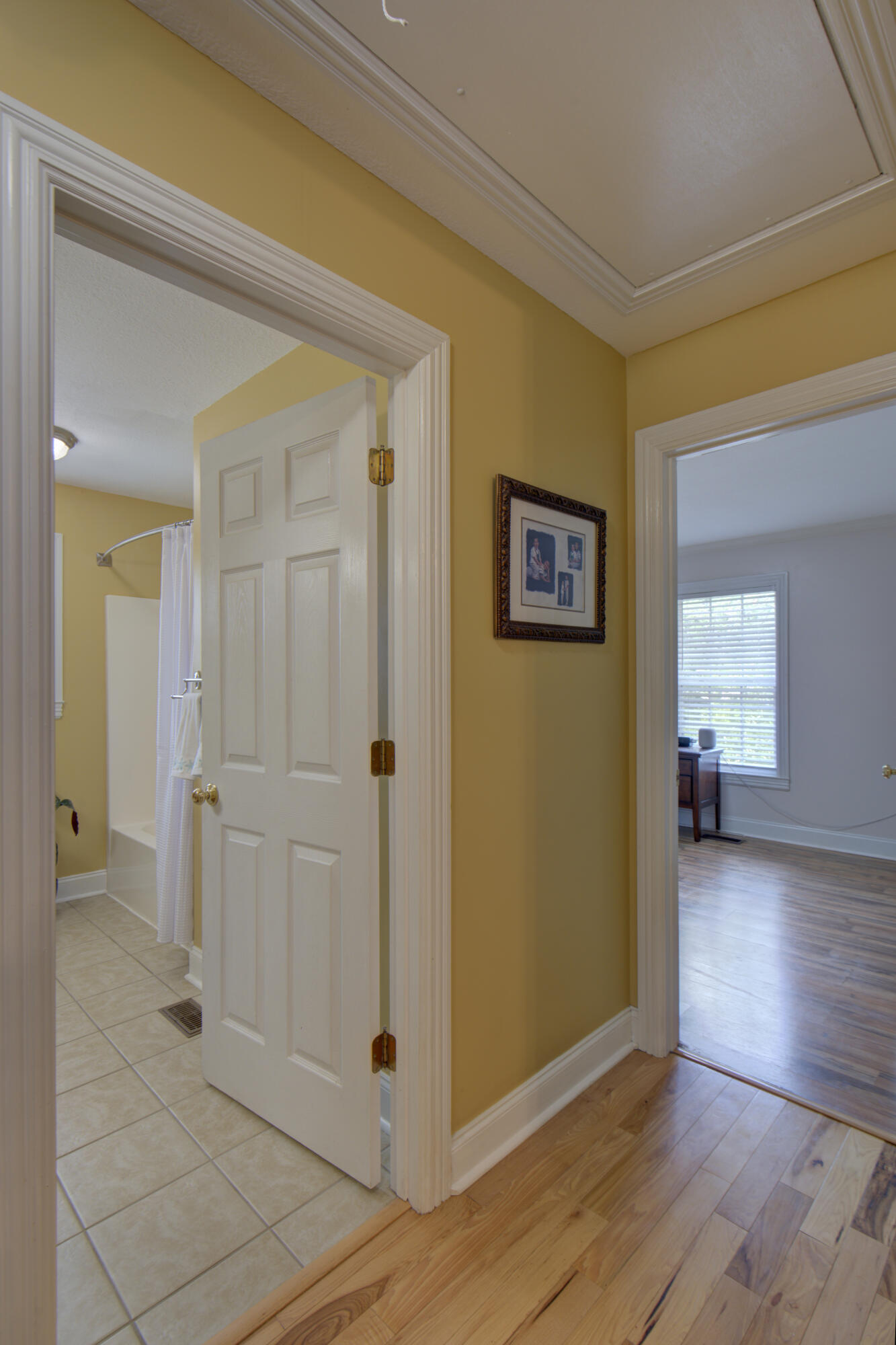 335 Blue Heron Drive