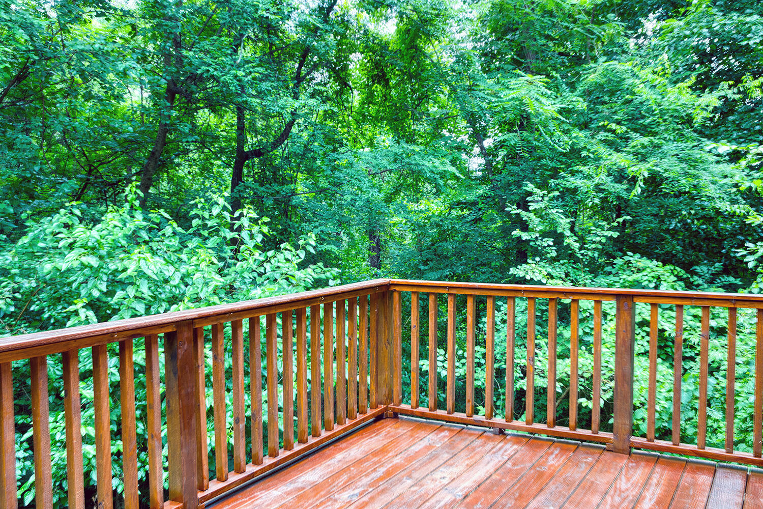4403 James Lane