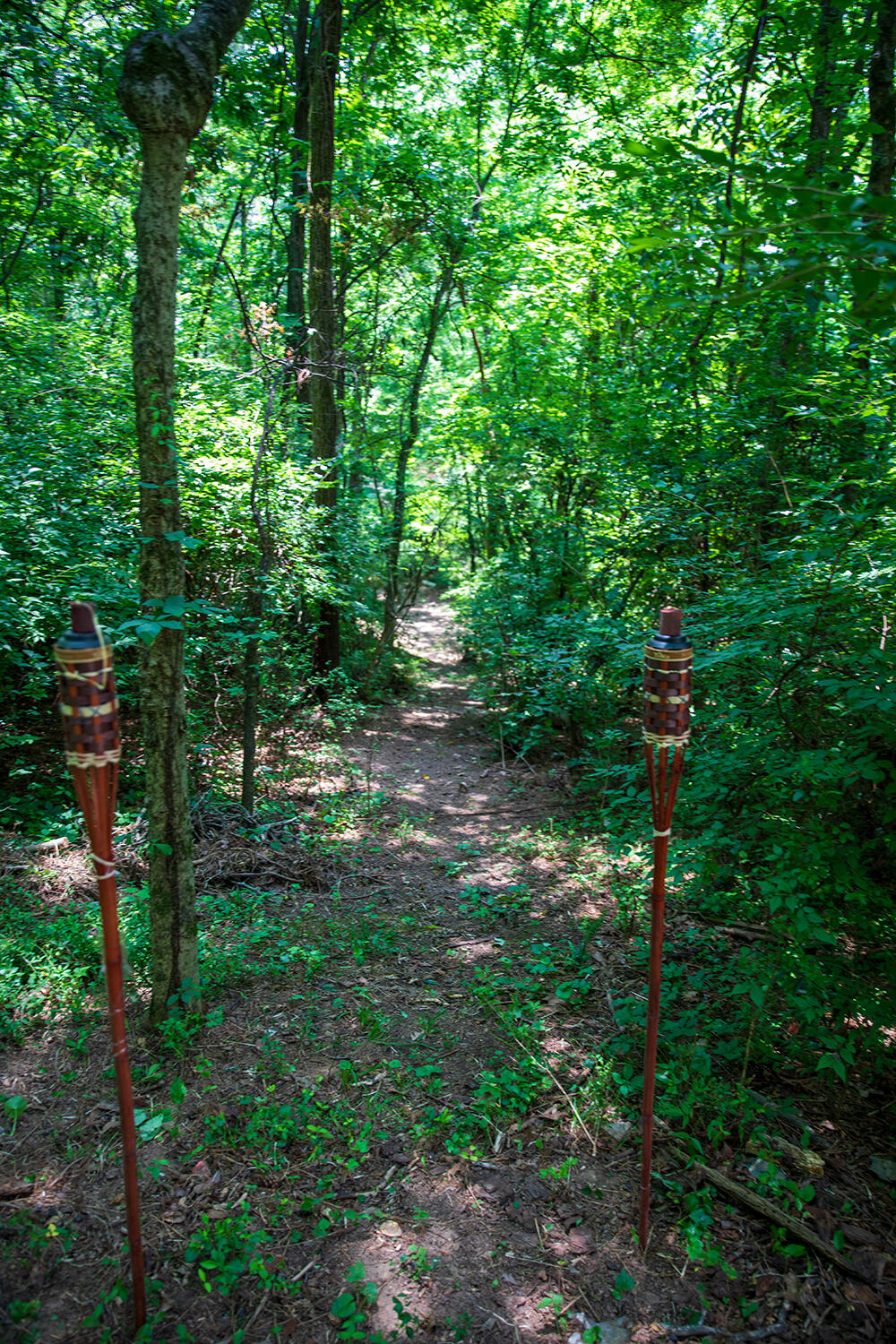 4403 James Lane