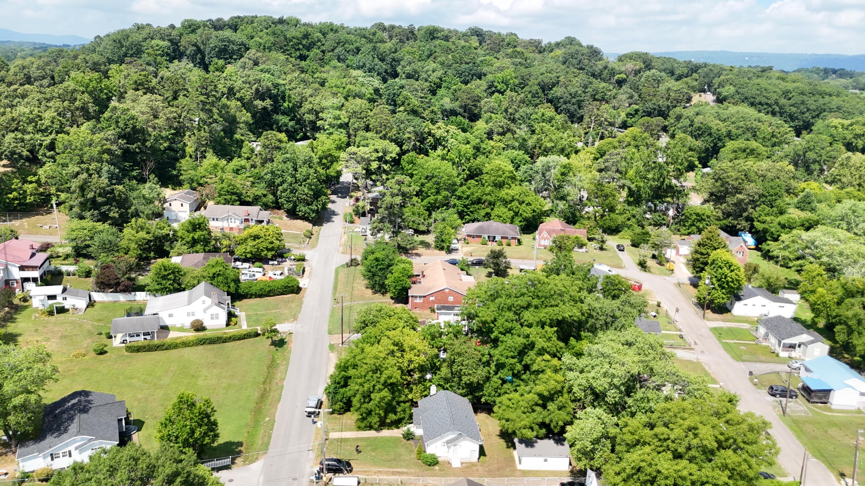 109 Alpine Drive
