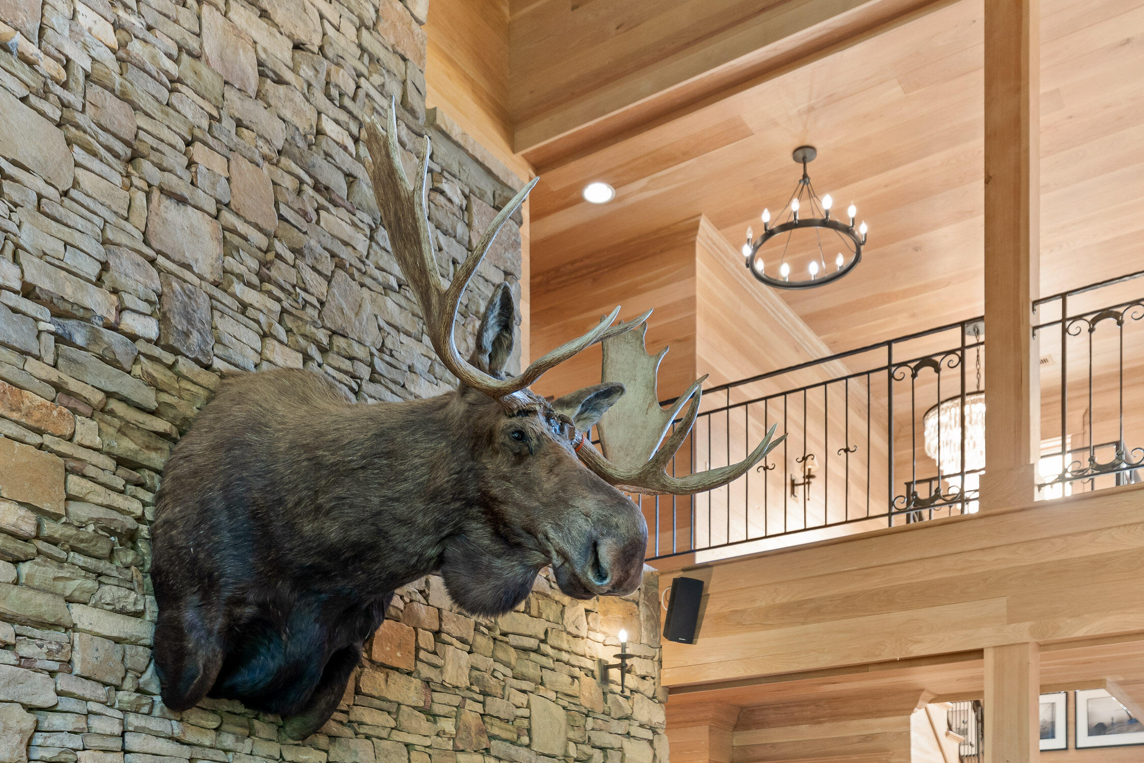 861 Long Branch Road