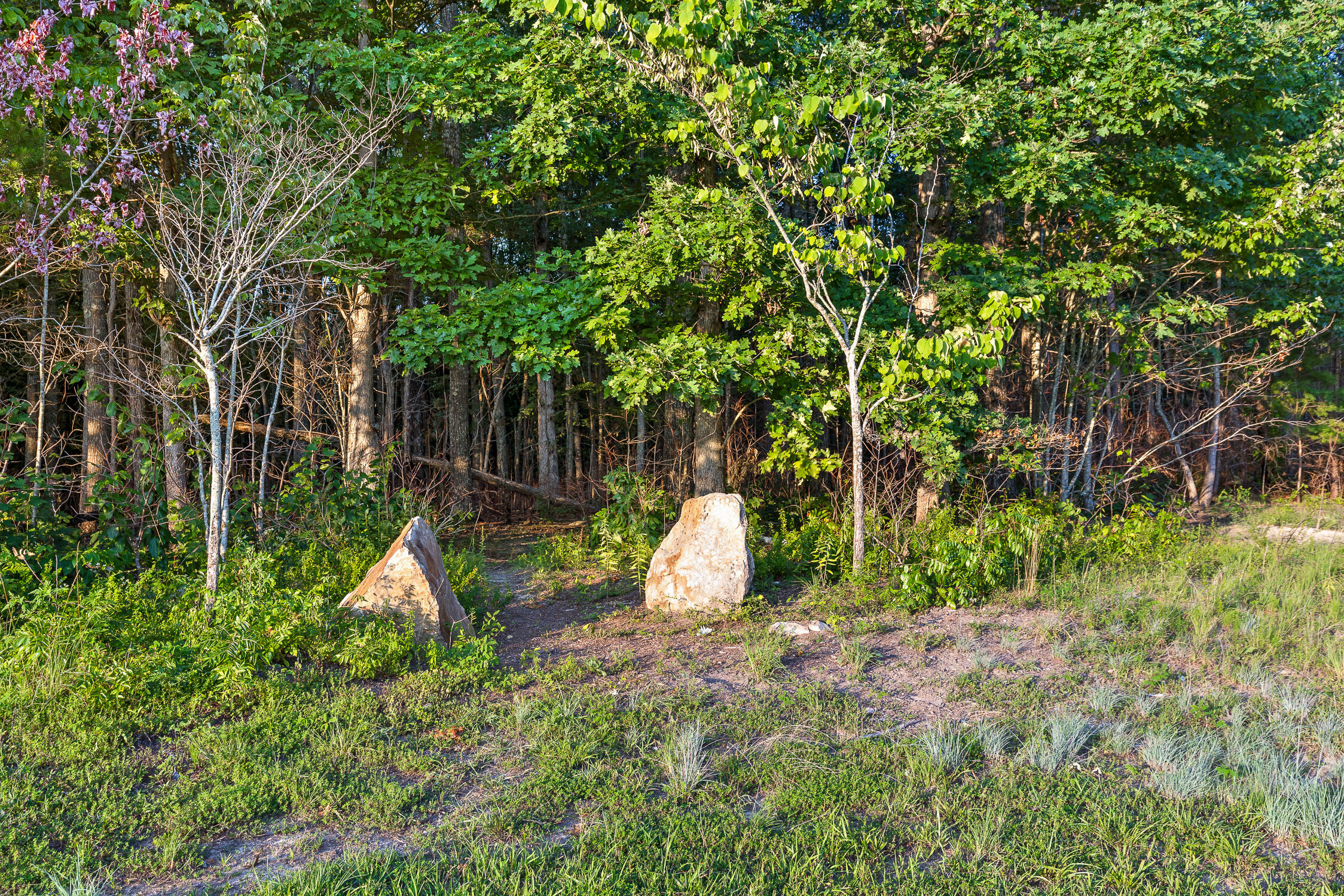 861 Long Branch Road