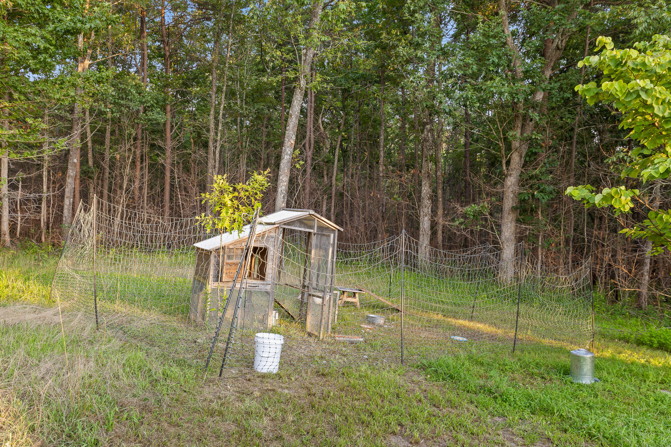 861 Long Branch Road