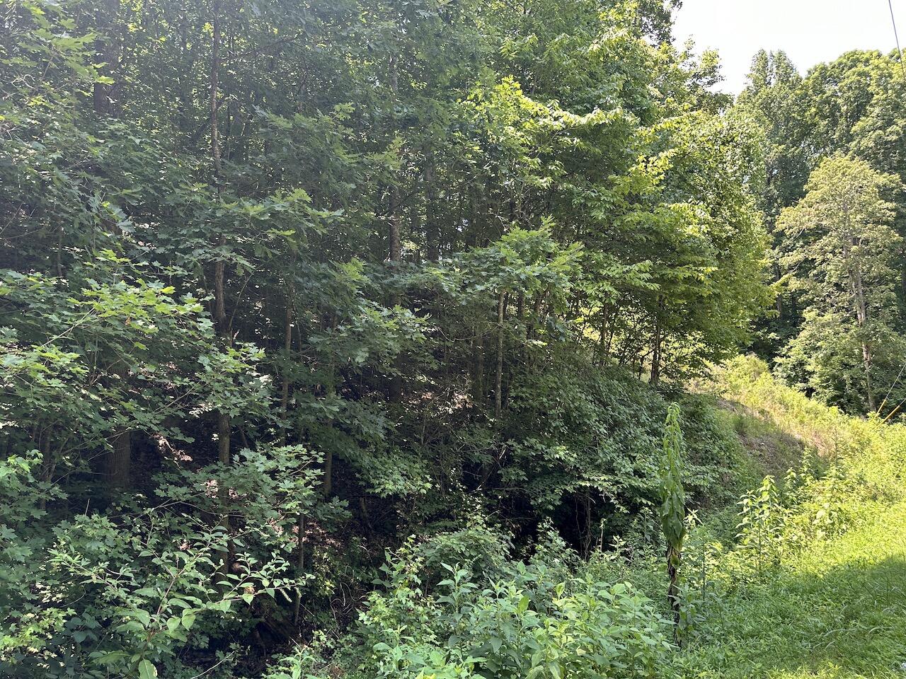 0 Slygo Road