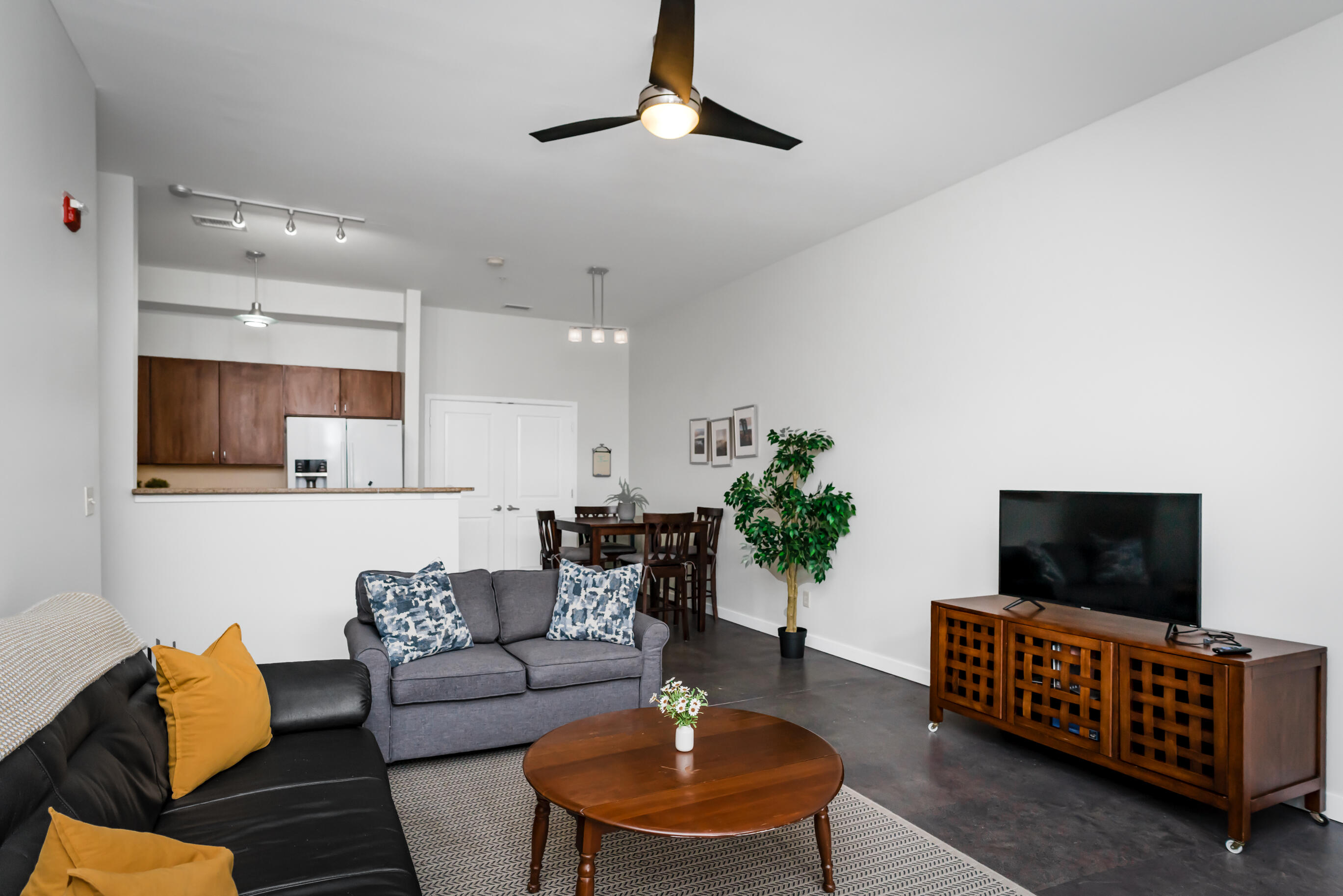 863 Flynn Street, 102