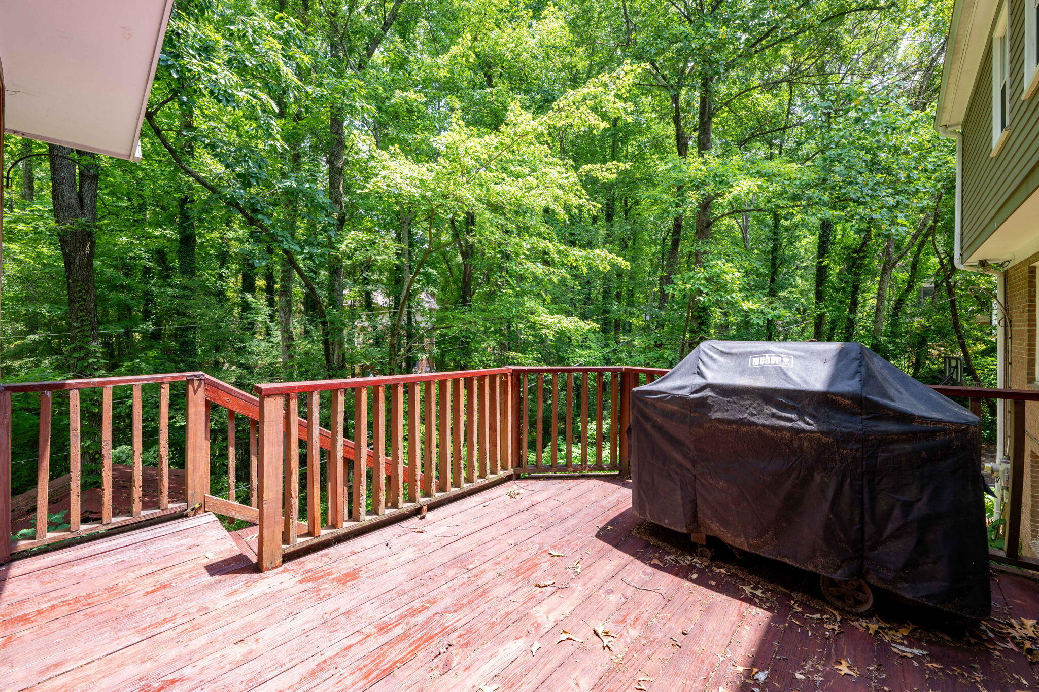 1236 Mountain Brook Circle