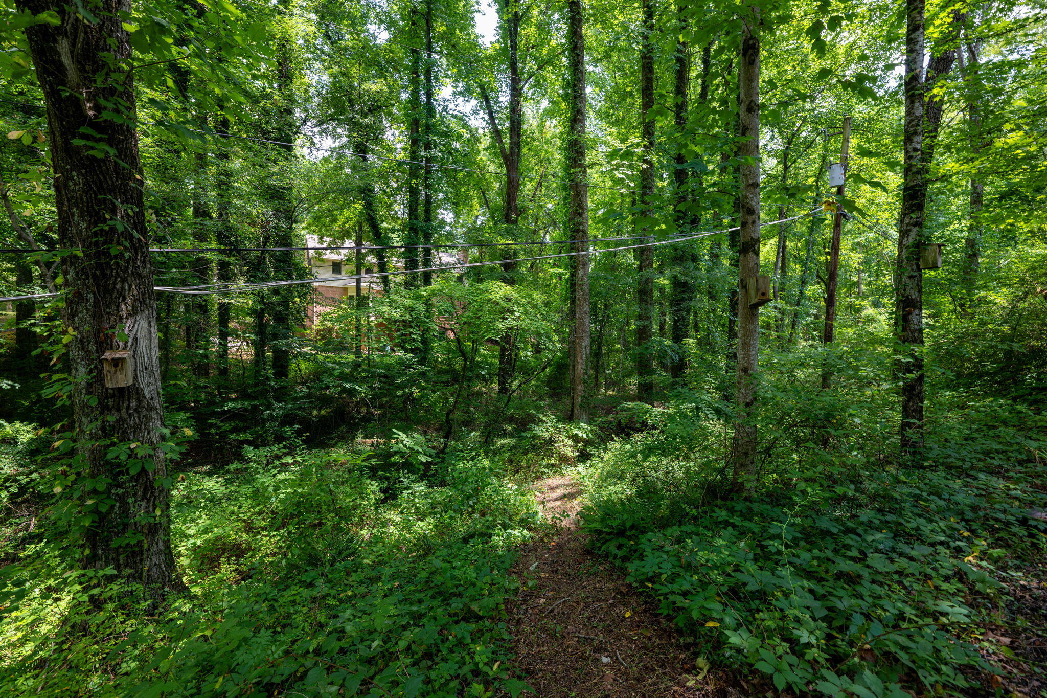 1236 Mountain Brook Circle