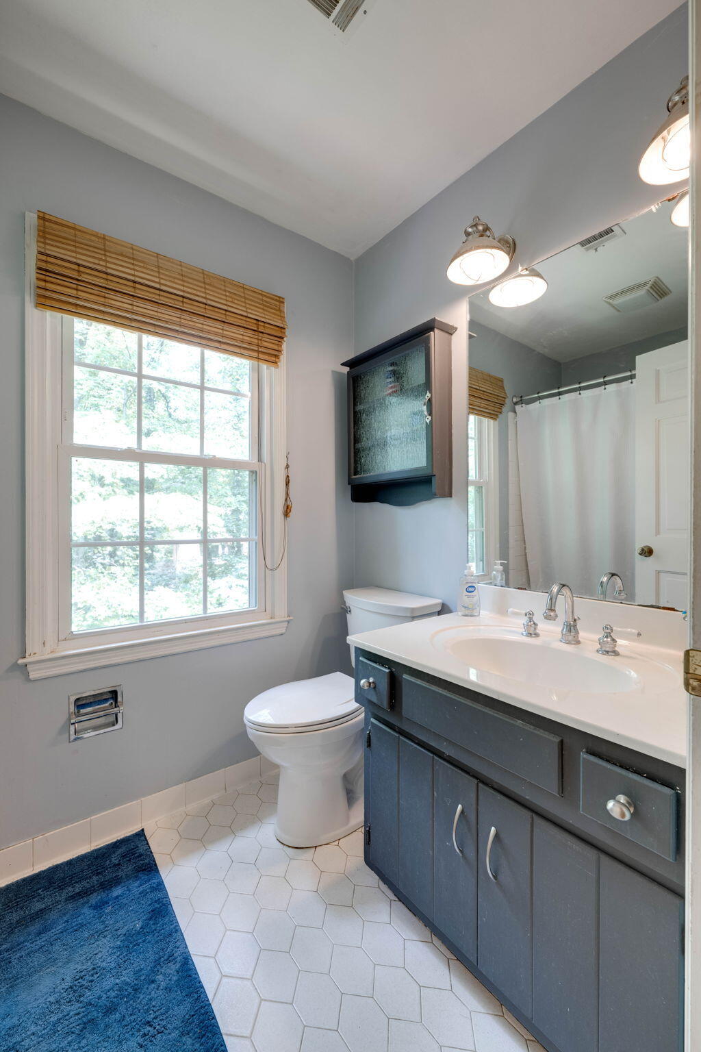 1236 Mountain Brook Circle