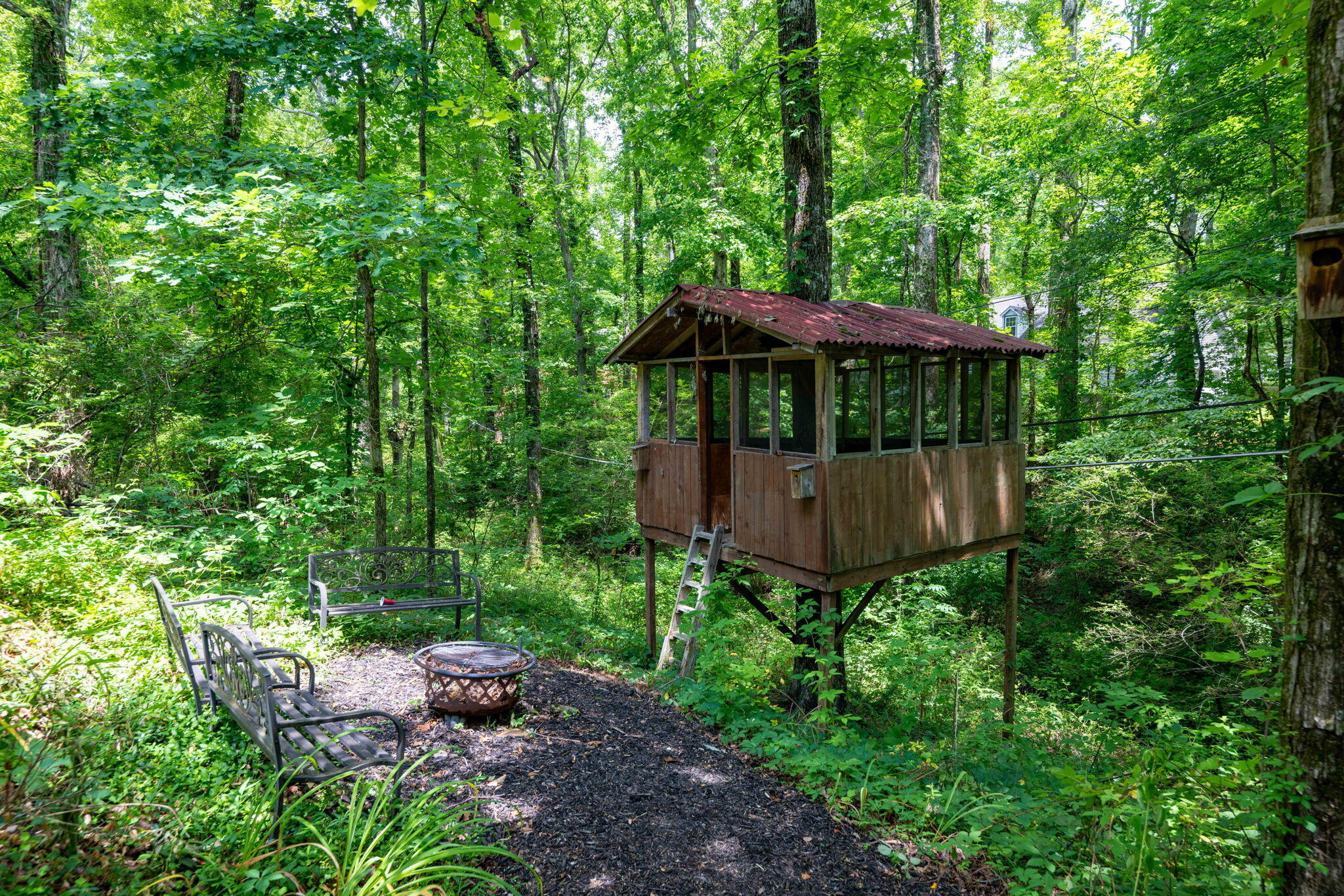 1236 Mountain Brook Circle