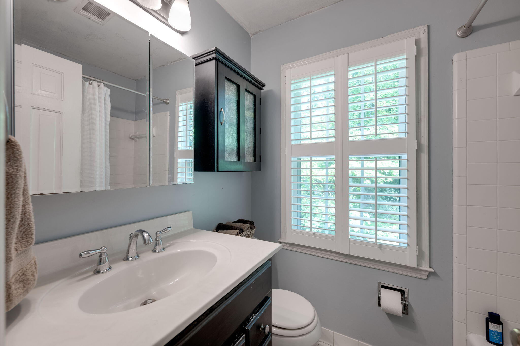 1236 Mountain Brook Circle