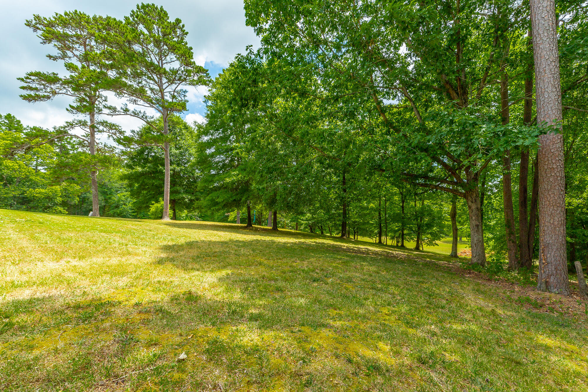 8314 Fair Oaks Road