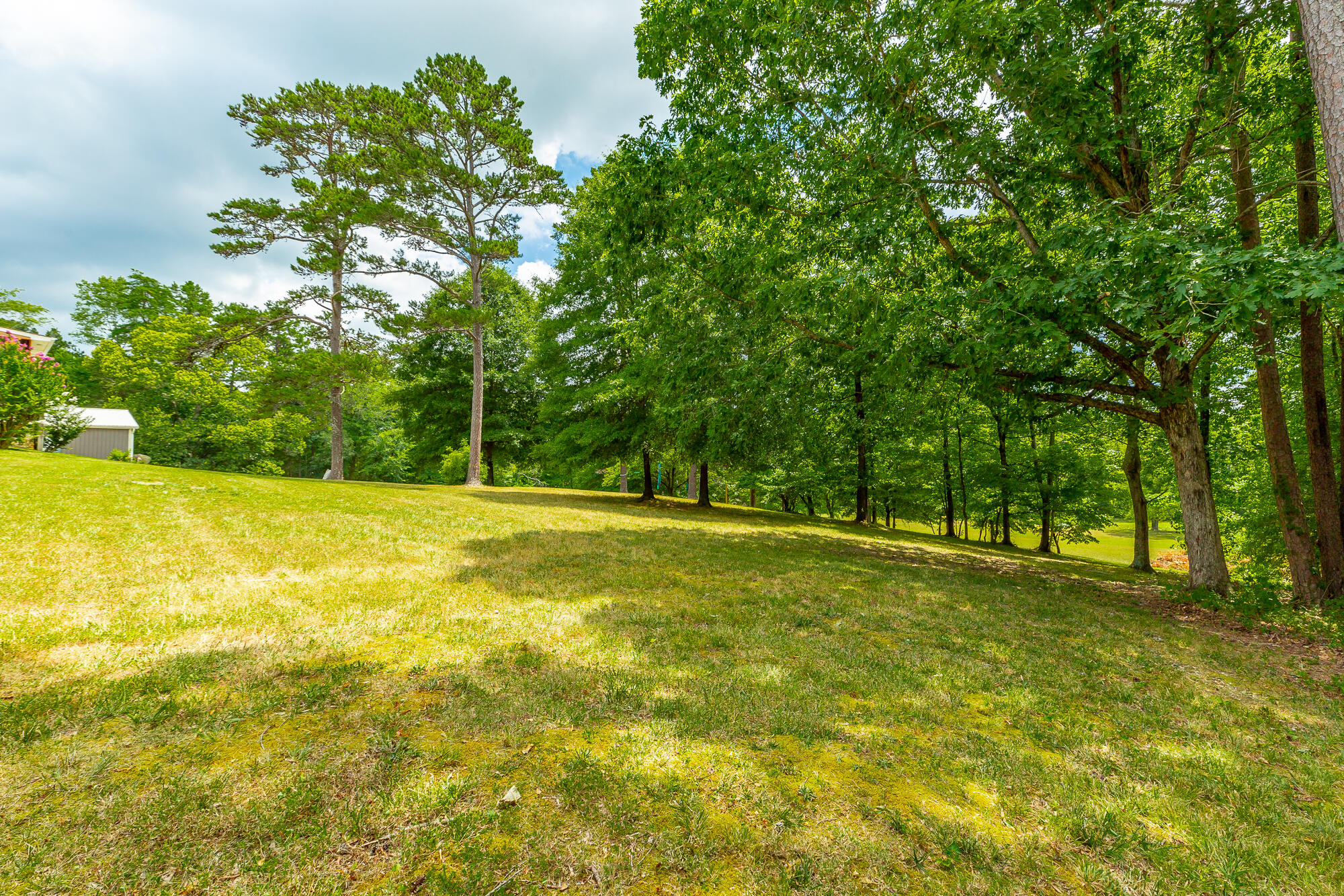 8314 Fair Oaks Road