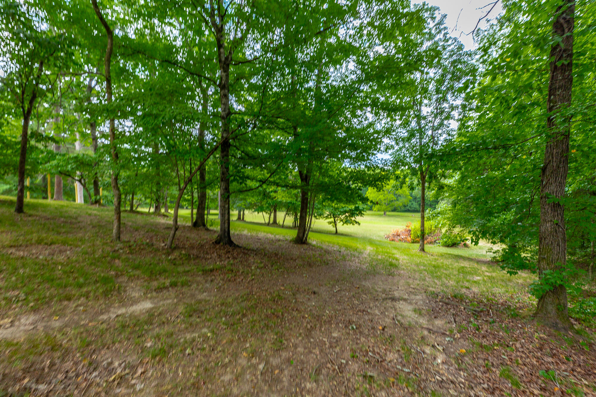 8314 Fair Oaks Road