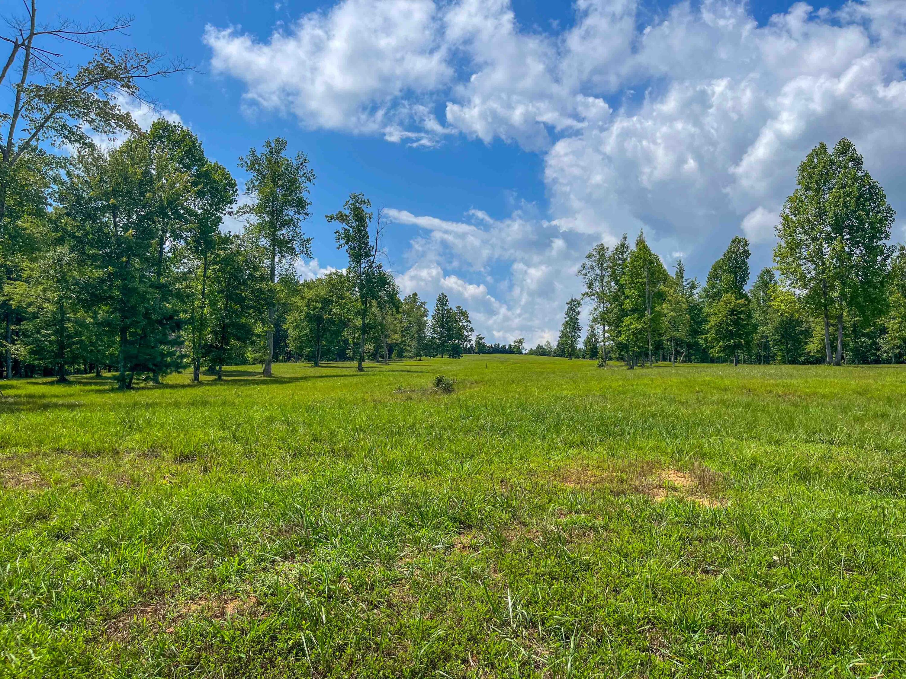 0 River Bluffs Drive, 112