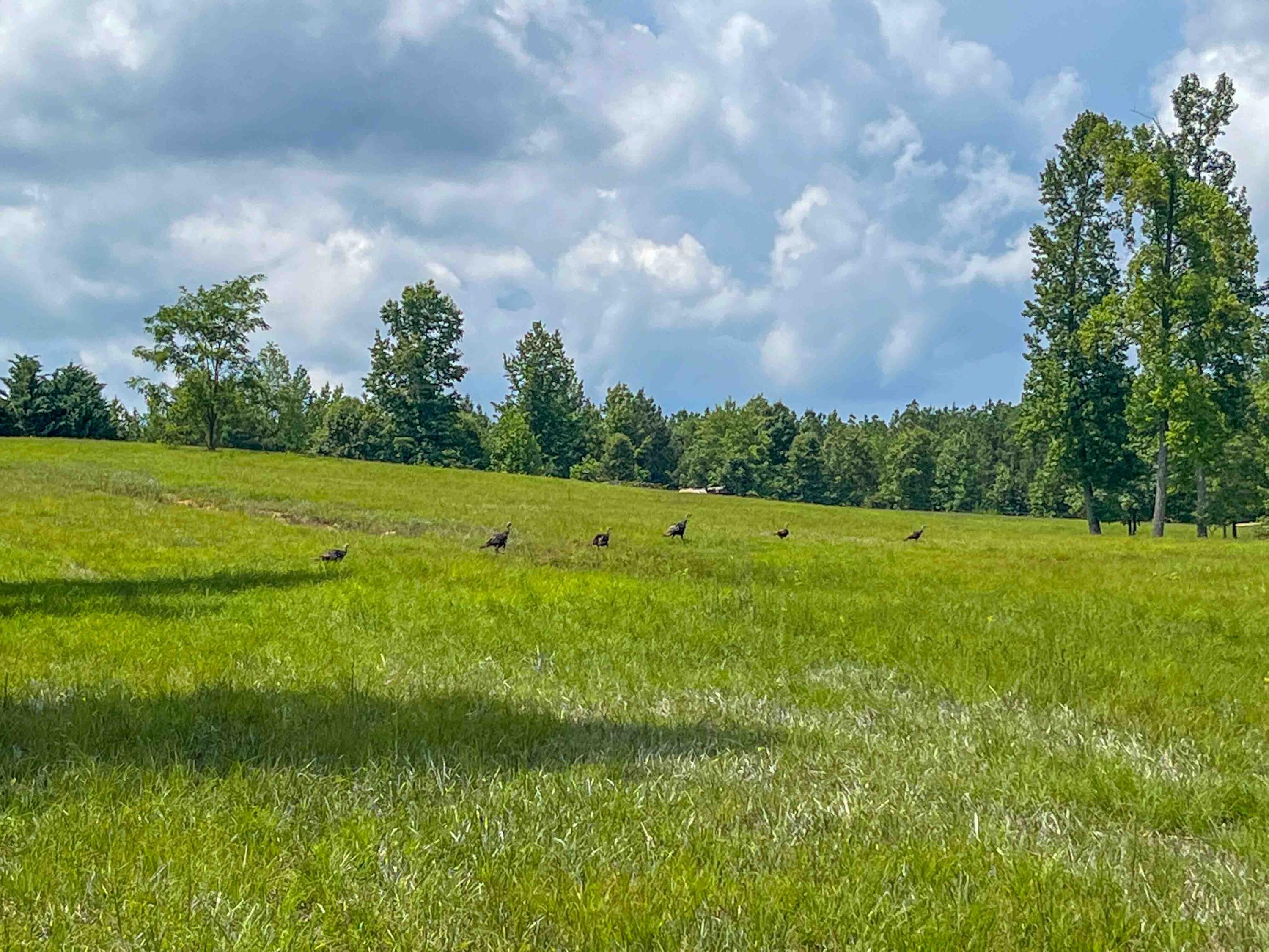 0 River Bluffs Drive, 112