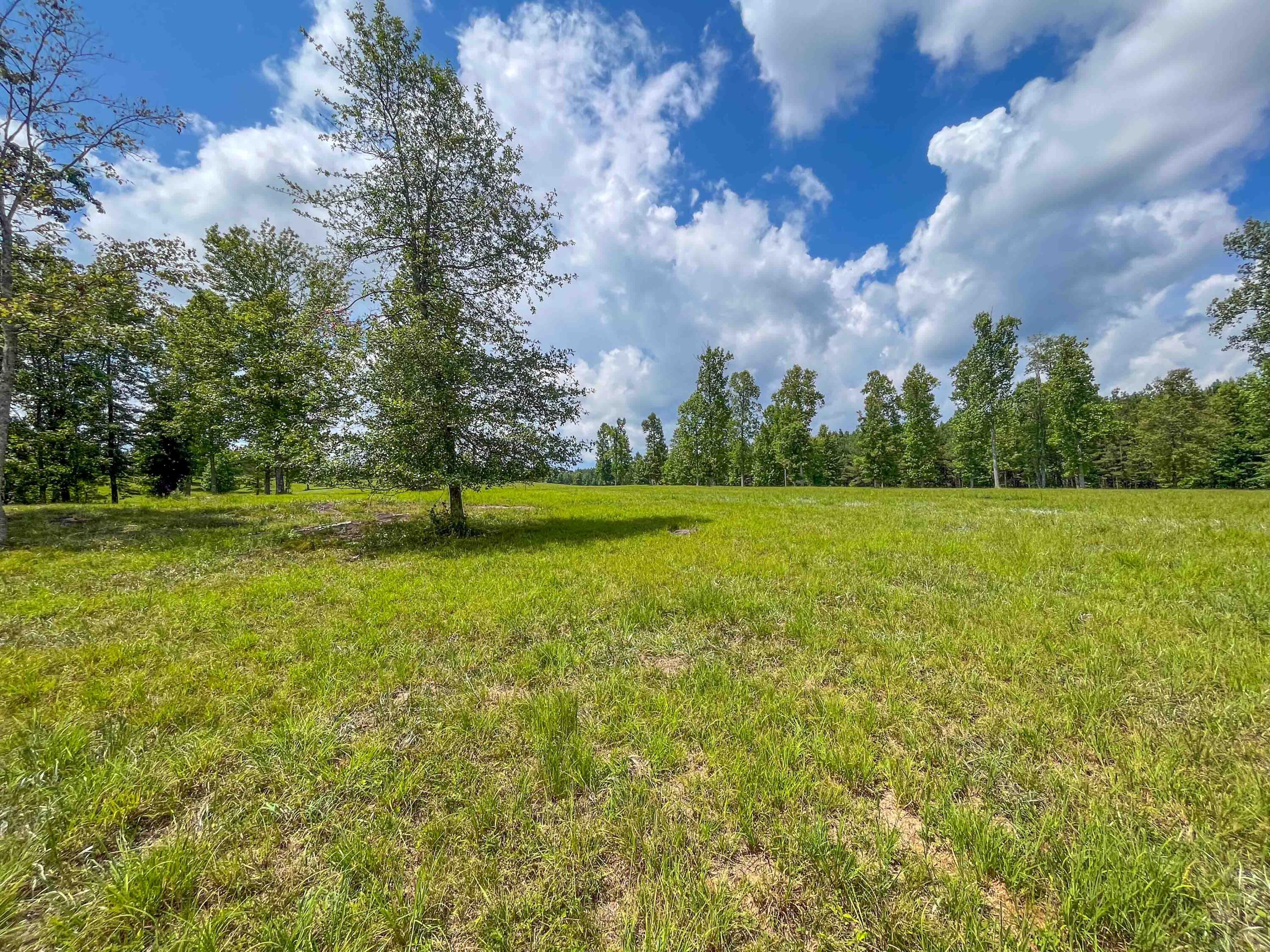 0 River Bluffs Drive, 112