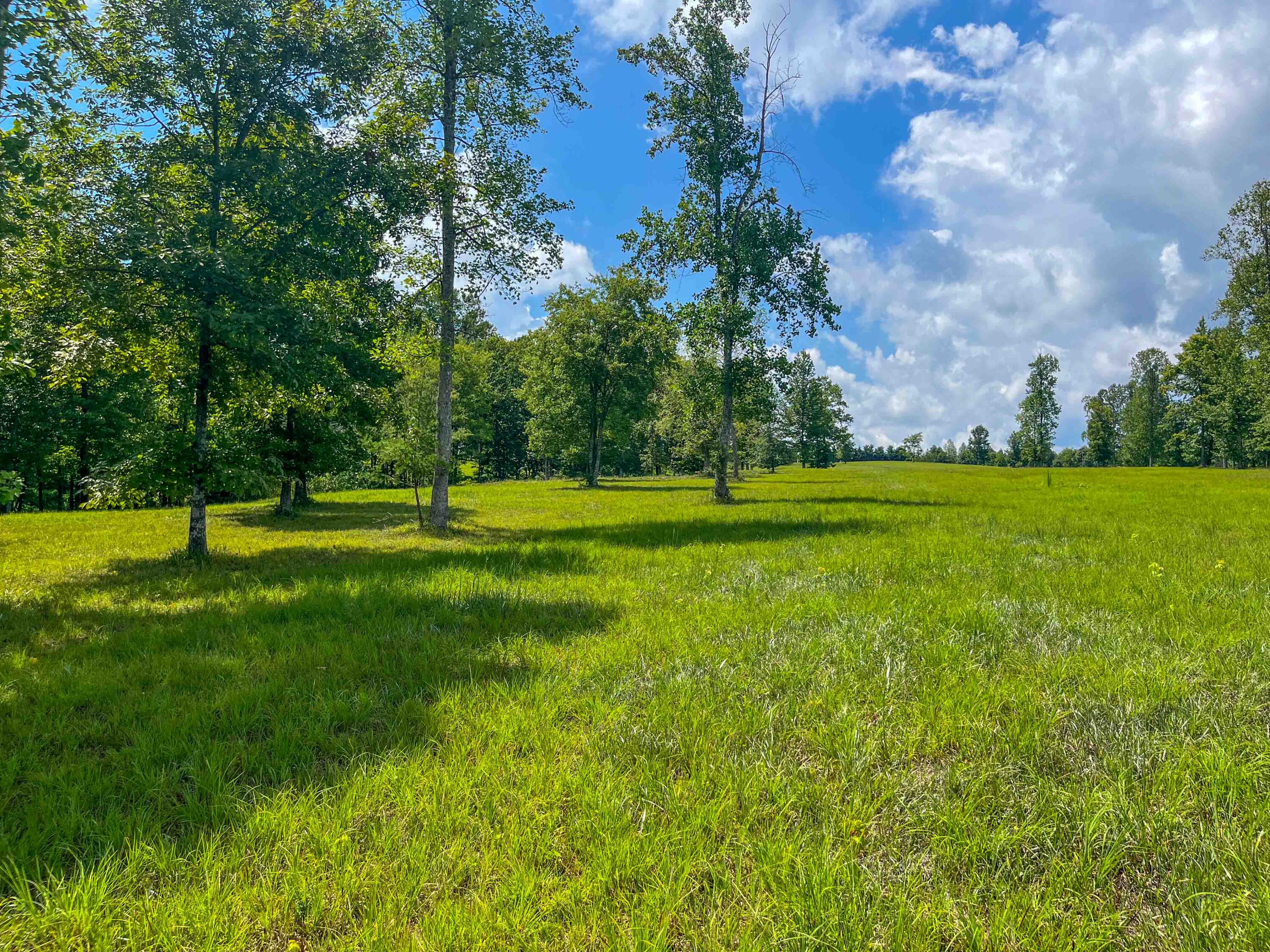 0 River Bluffs Drive, 112