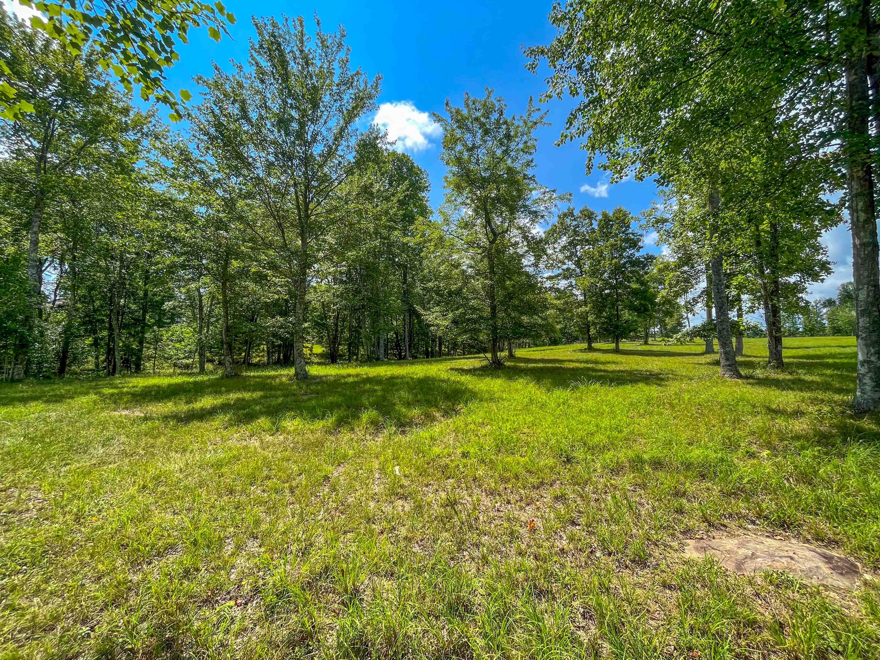 0 River Bluffs Drive, 112