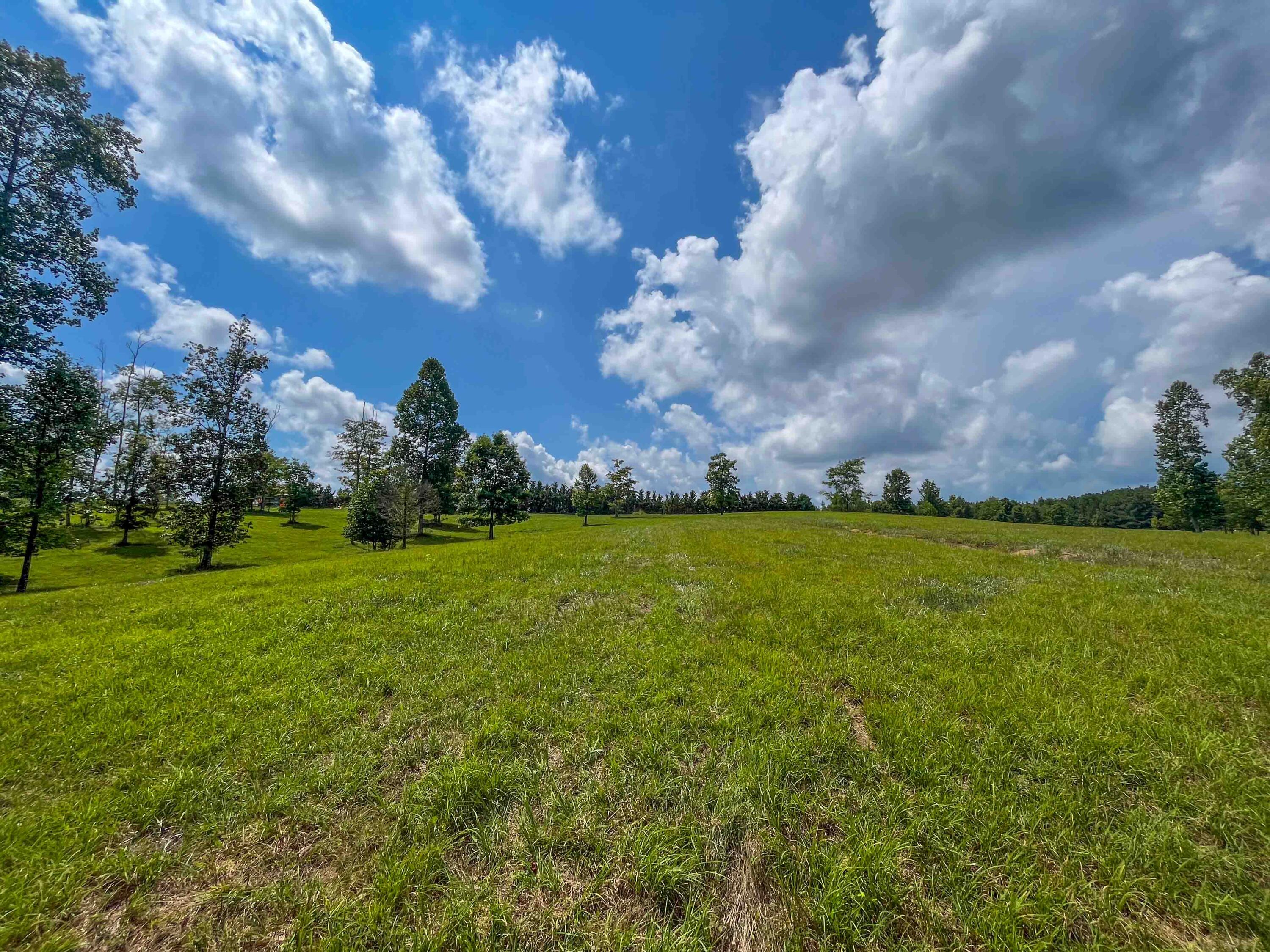 0 River Bluffs Drive, 112