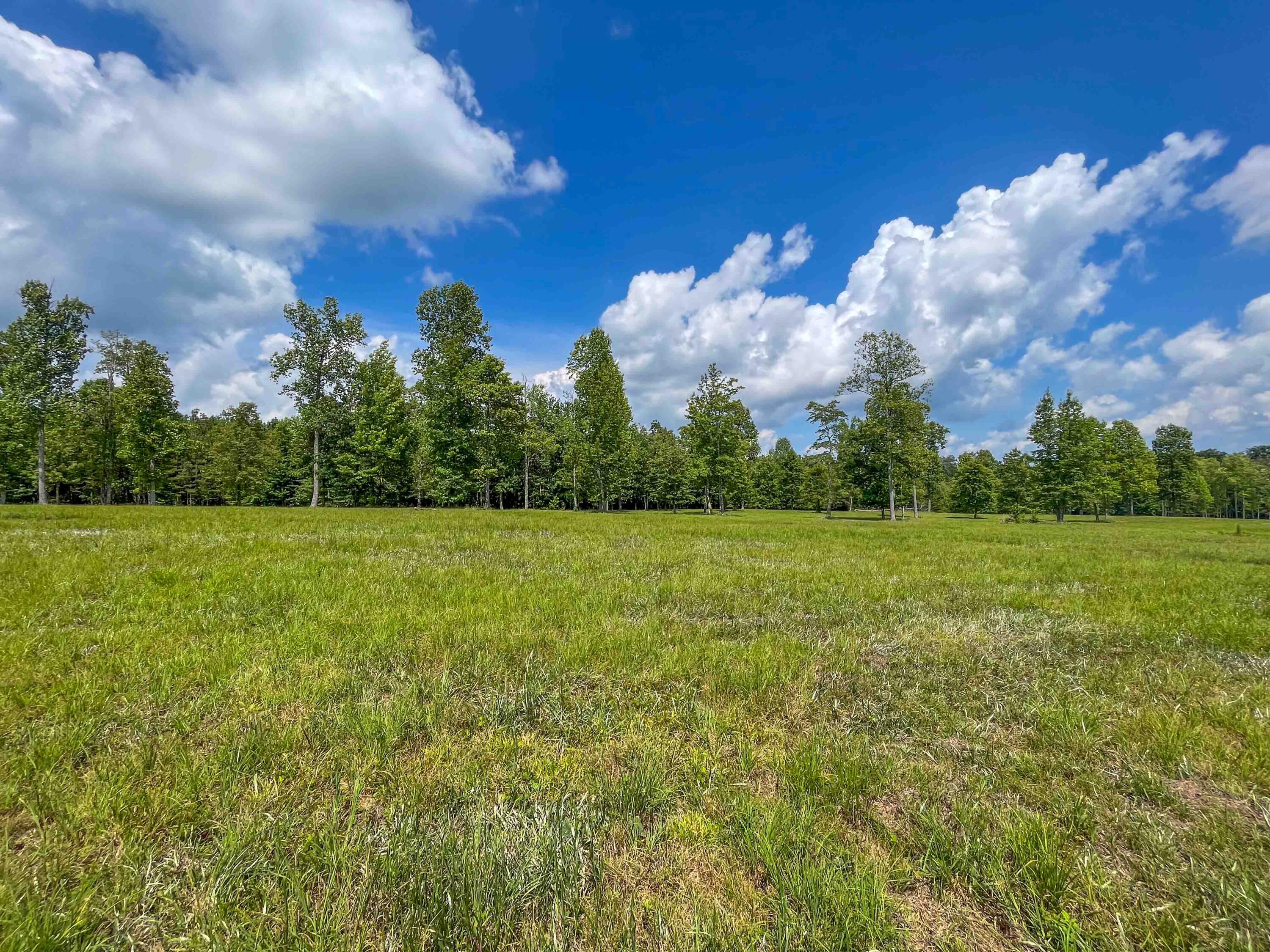 0 River Bluffs Drive, 112