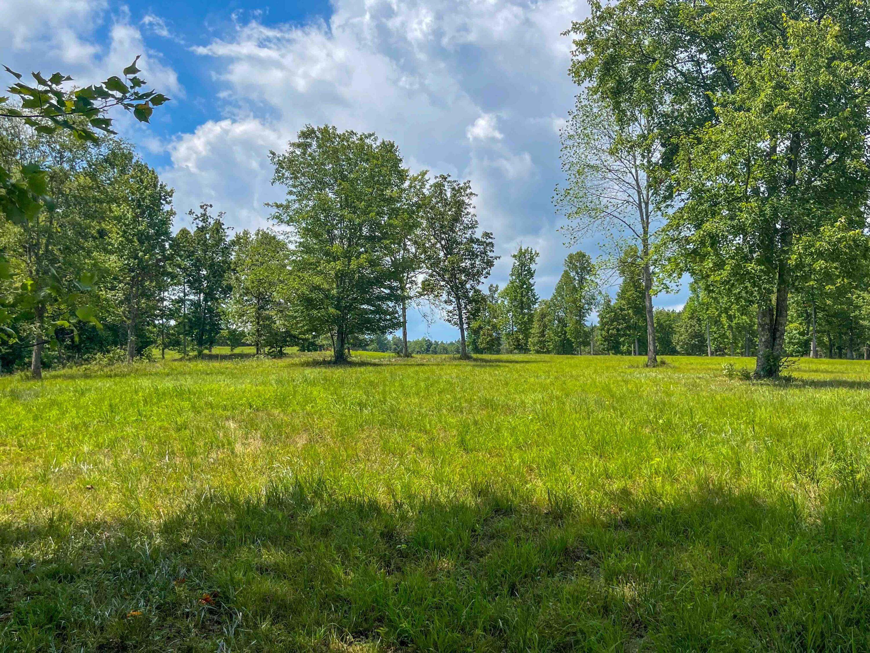 0 River Bluffs Drive, 112