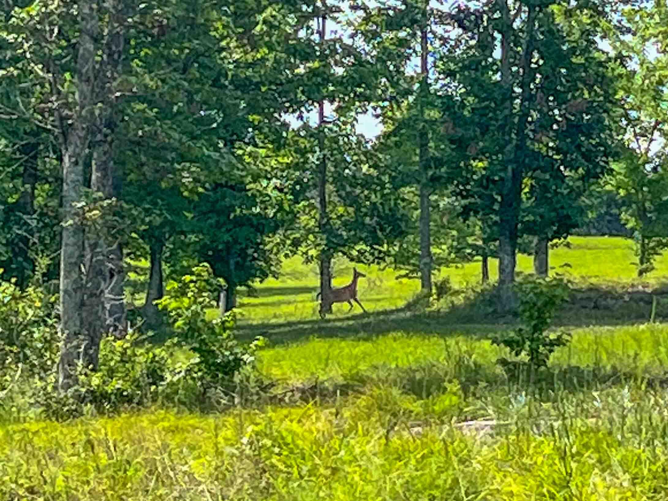 0 River Bluffs Drive, 112