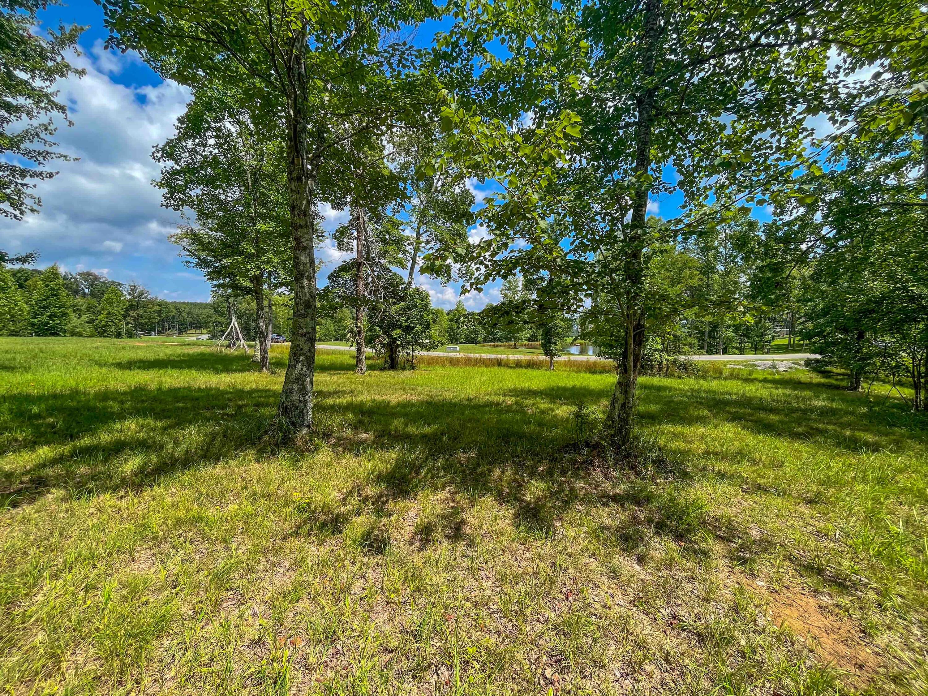 0 River Bluffs Drive, 112