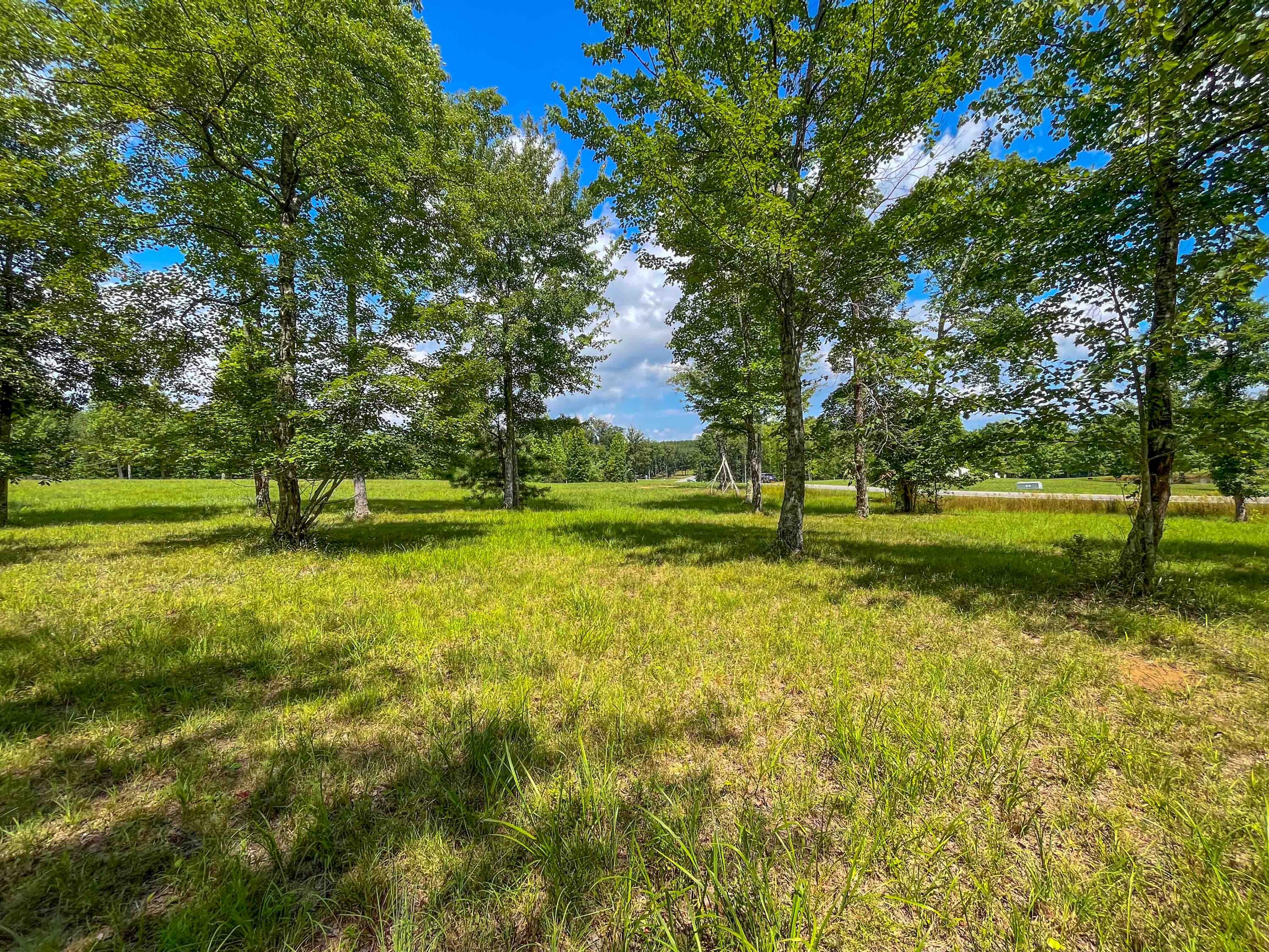 0 River Bluffs Drive, 112